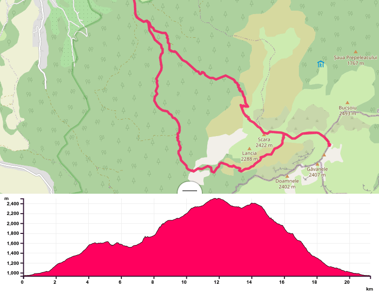 Bran Poarta – Valea Gaura – Șaua Hornurilor – Omu – Șaua Hornurilor – Ciubotea – Bran Poarta