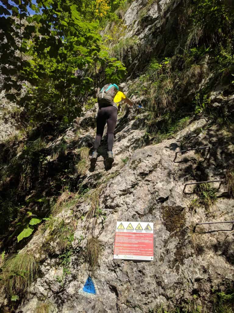 Intrarea în traseul Brâna Caprei, marcat cu triunghi albastru