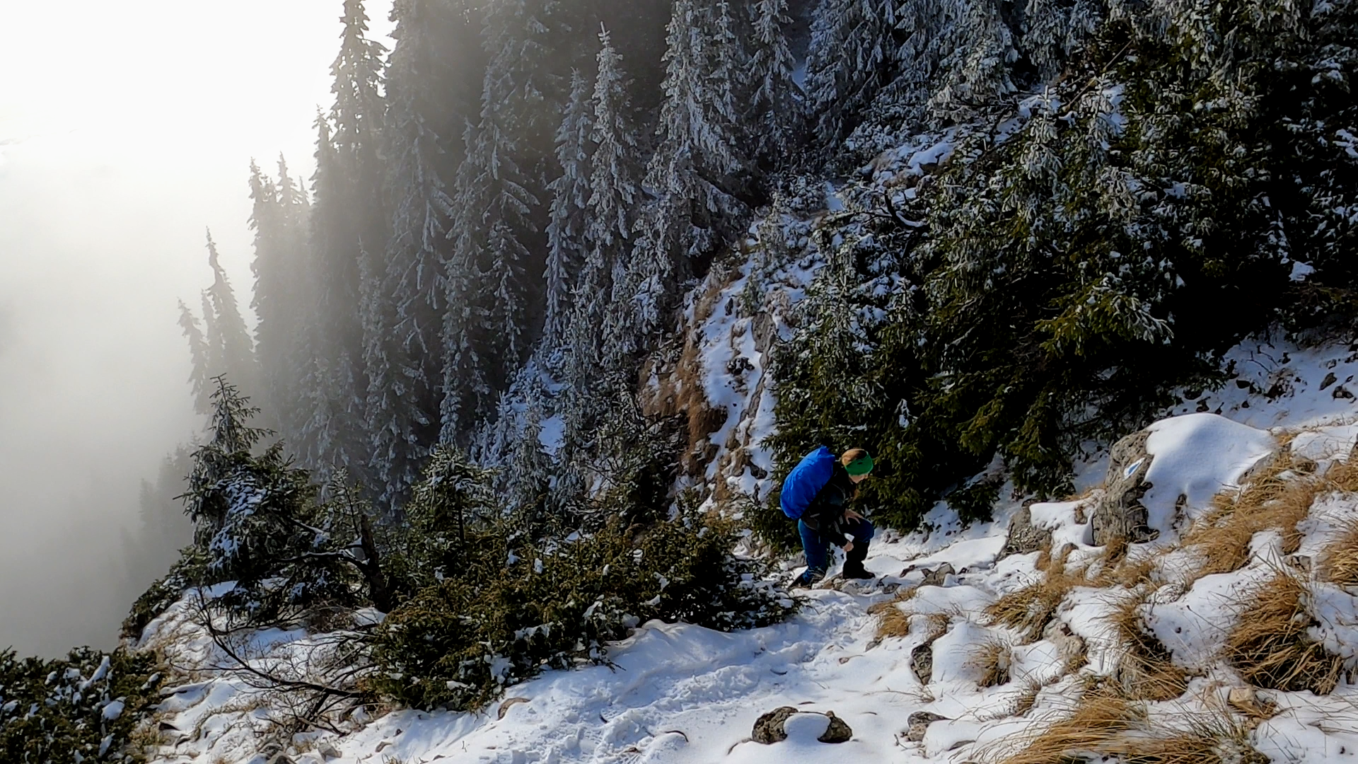 Padinile Frumoase, Piatra Craiului