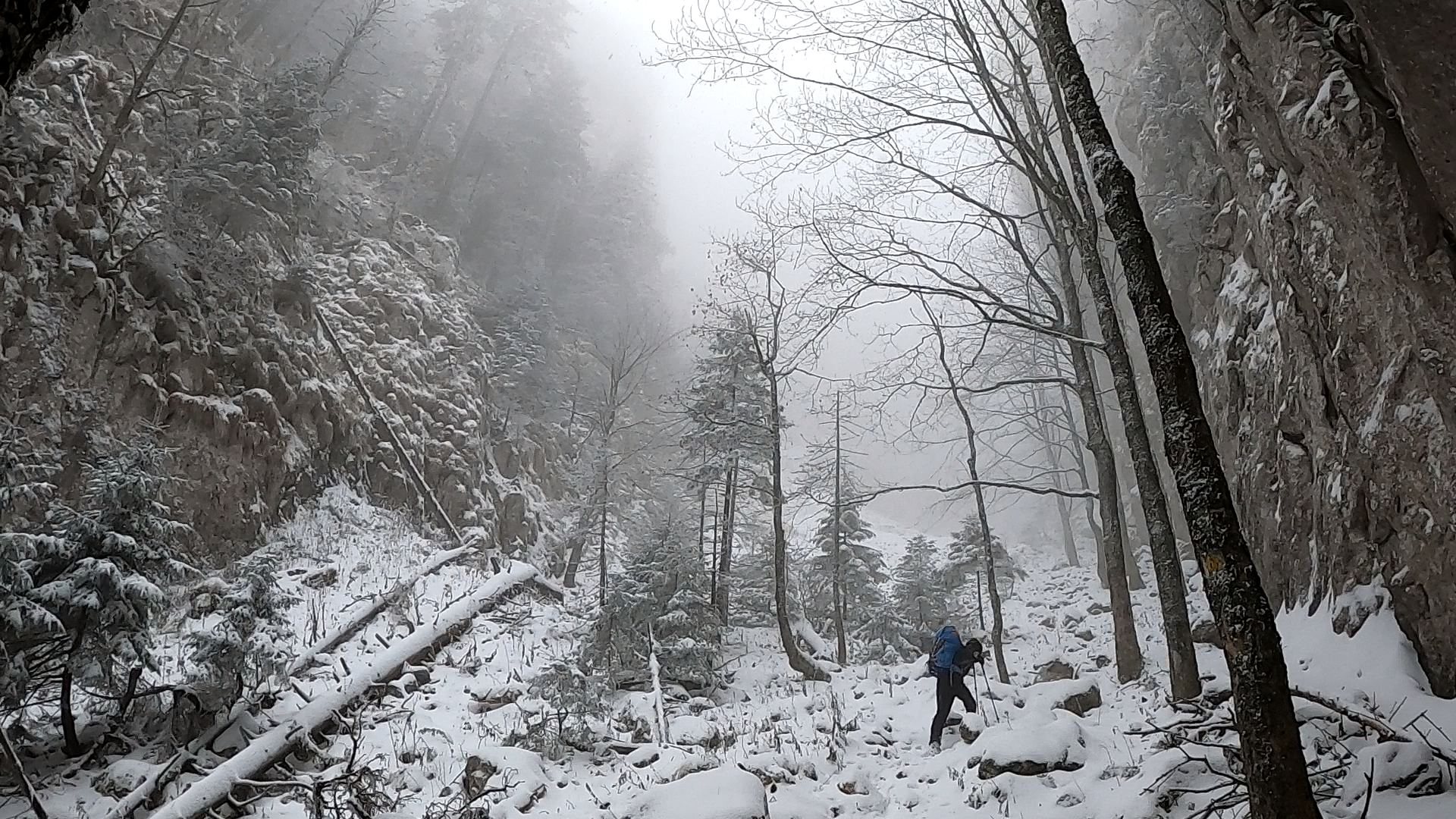 Valea Crăpăturii, Piatra Craiului