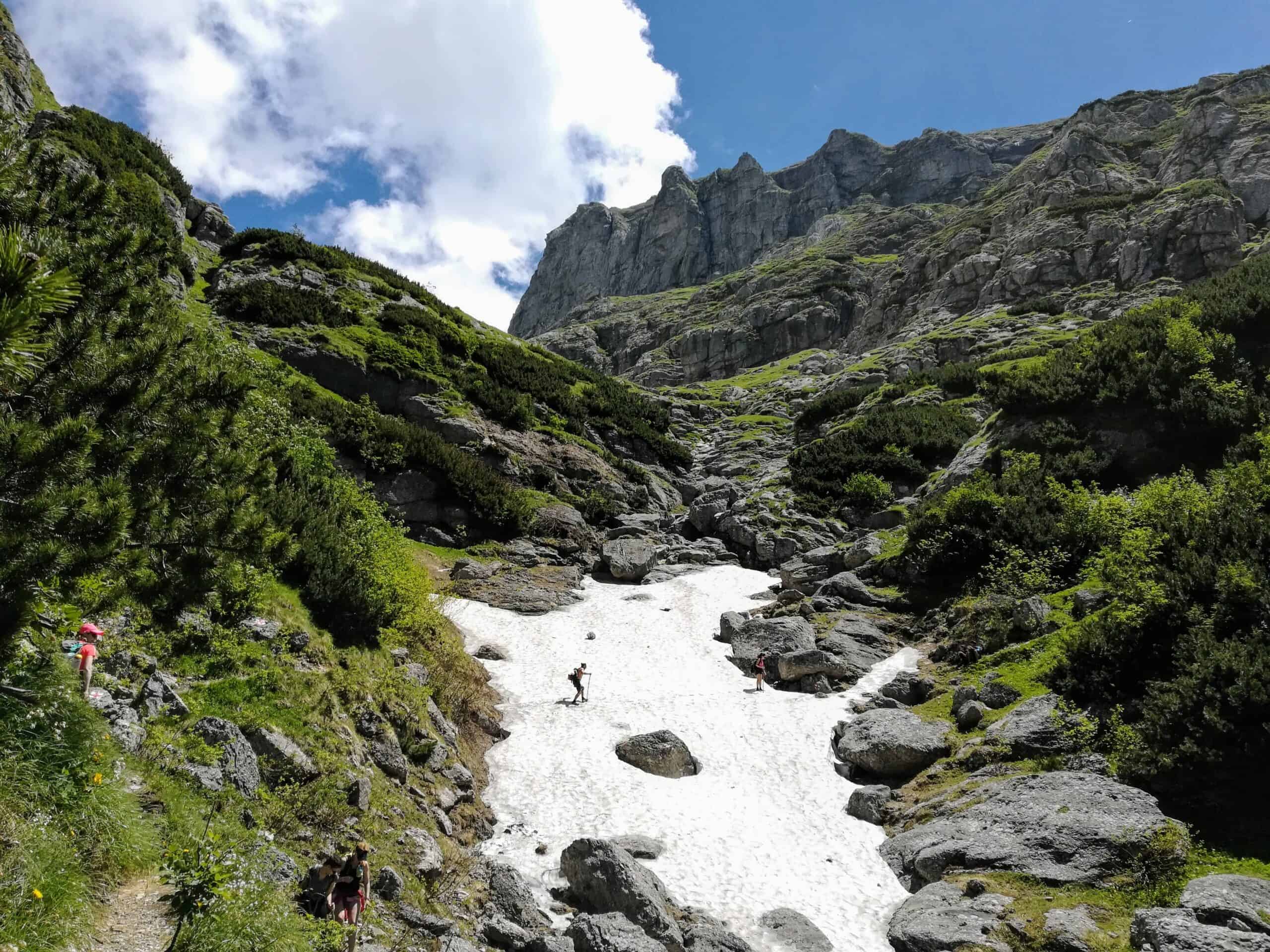 Limbă de zăpadă pe Valea Gaura