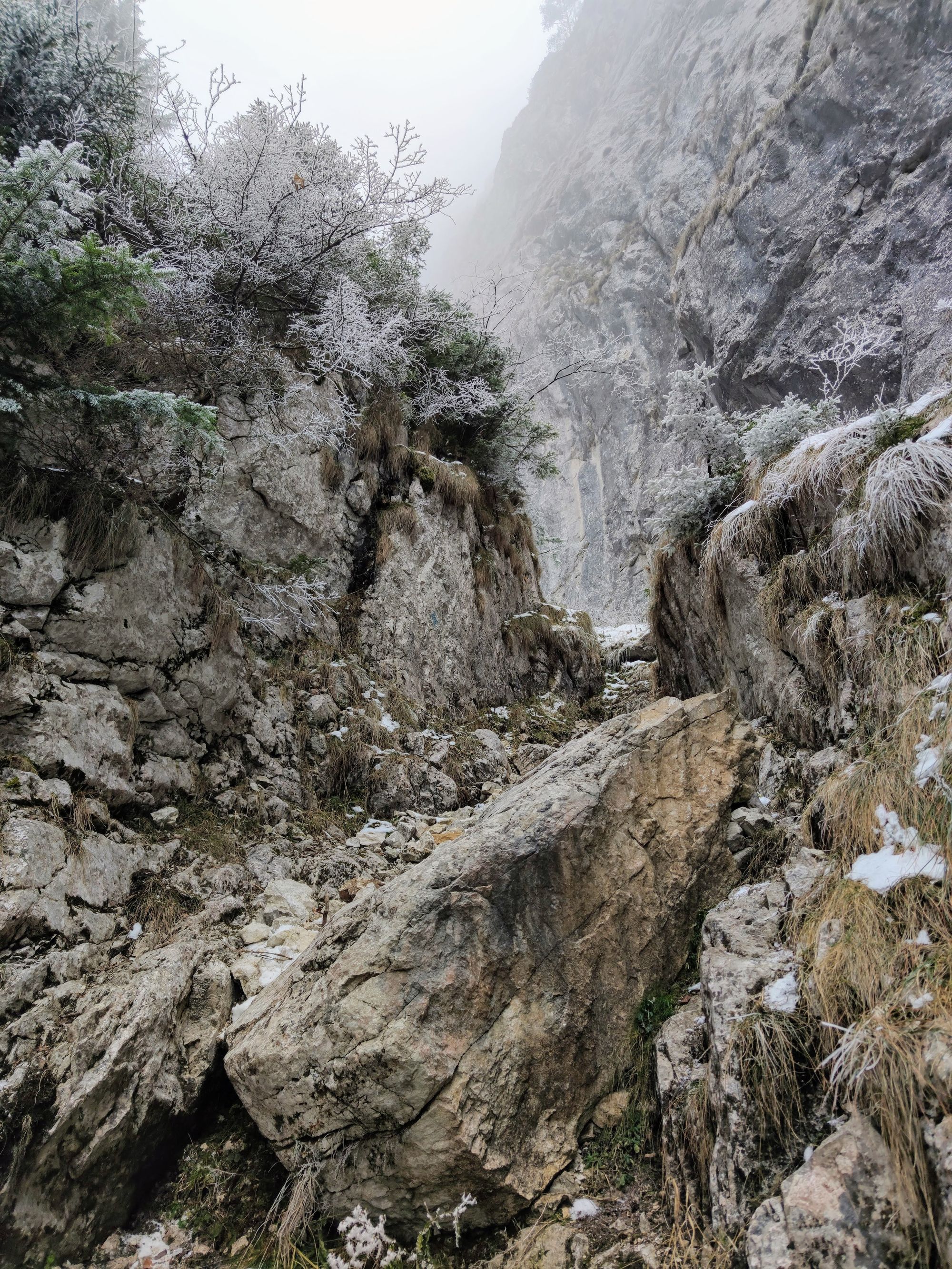 Padina Hotarului, Piatra Craiului