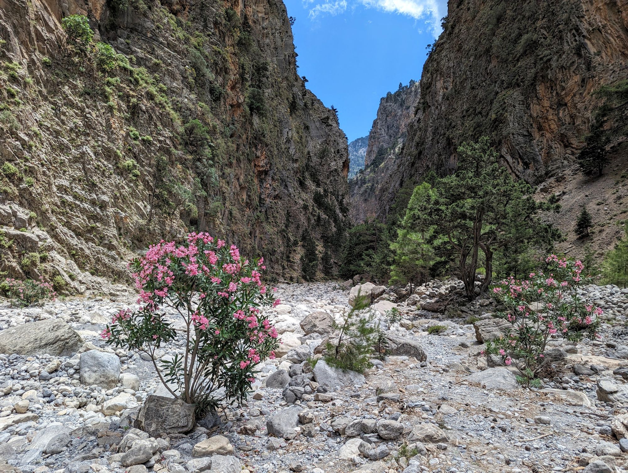 Canionul Samaria, Insula Creta