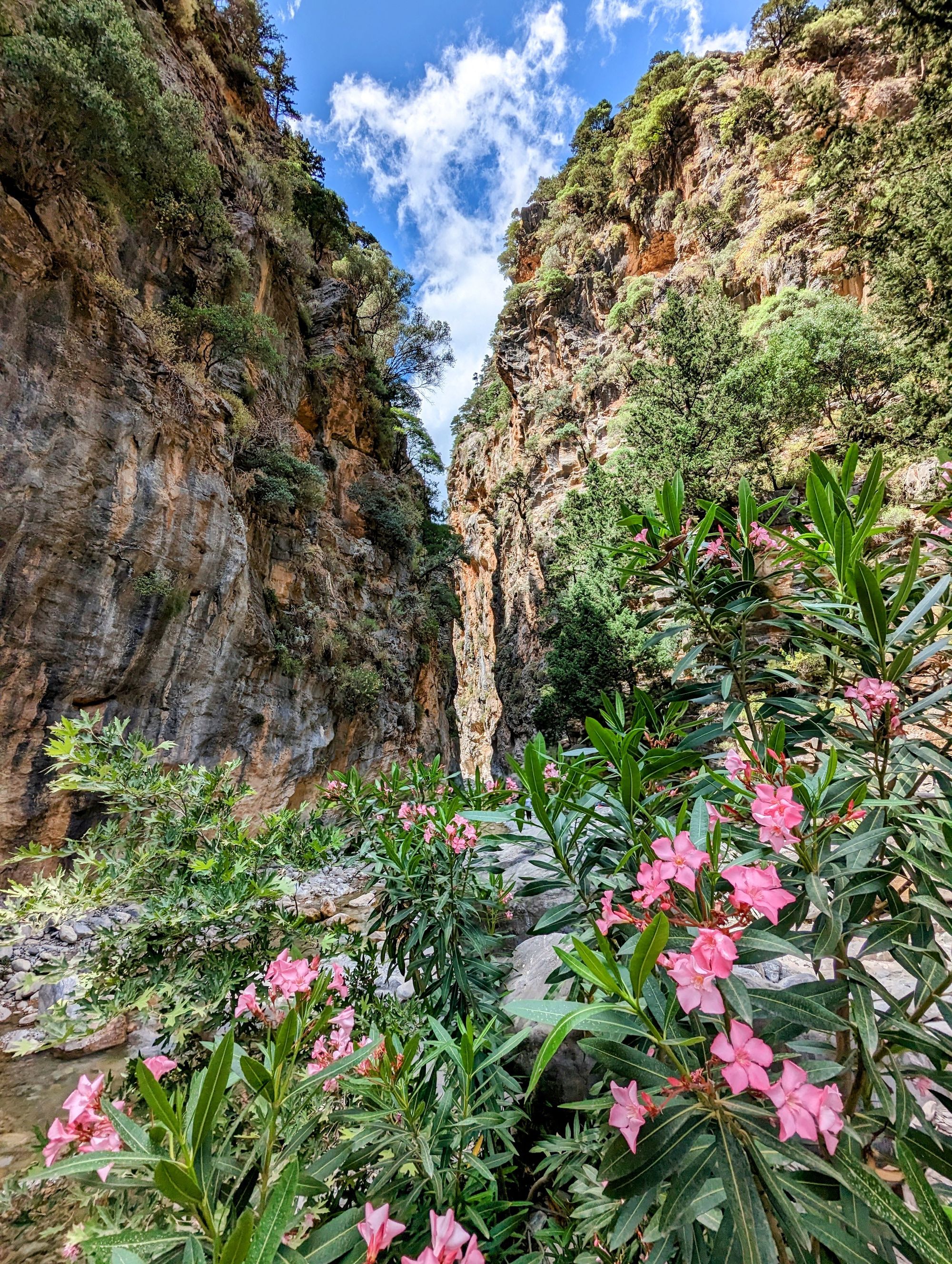 Canionul Samaria, Insula Creta