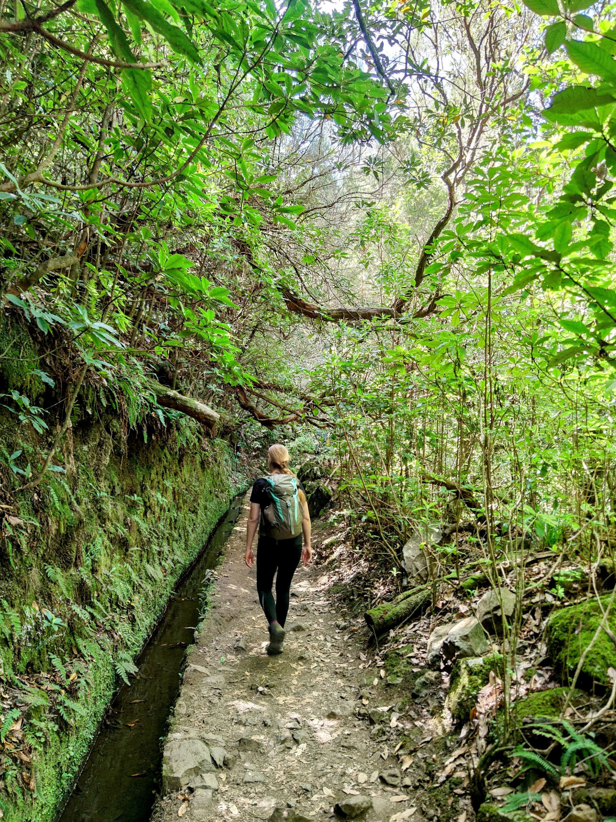 Madeira - 9 zile de hiking