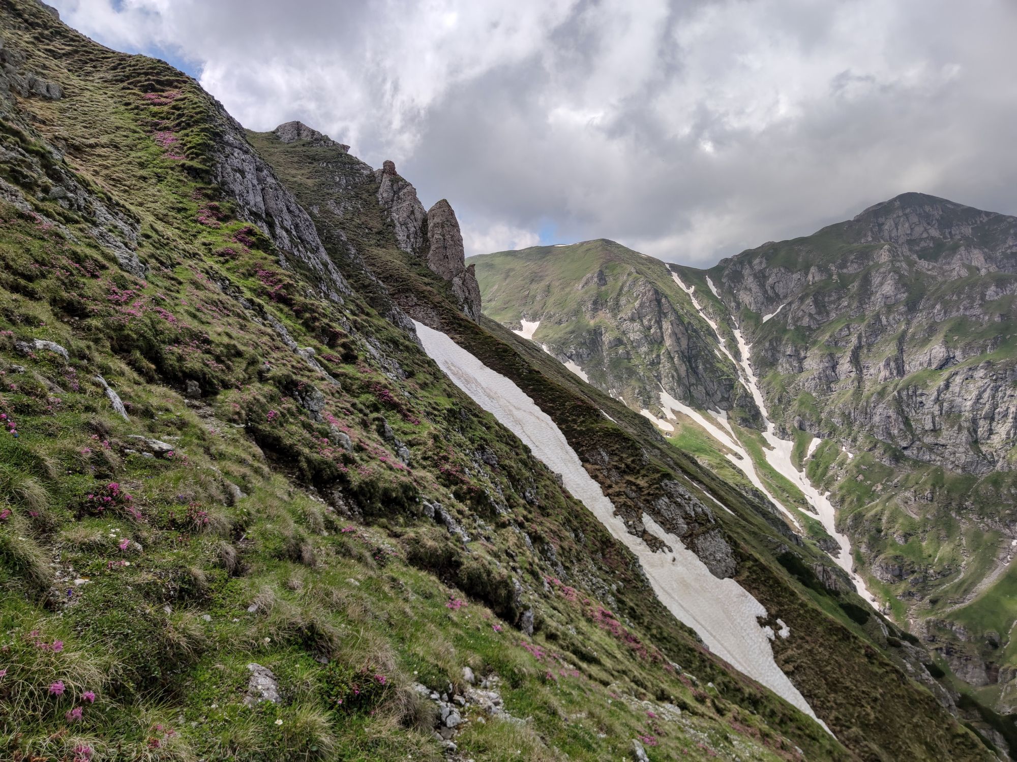 Valea Cerbului - Acele Morarului - Omu - Padina