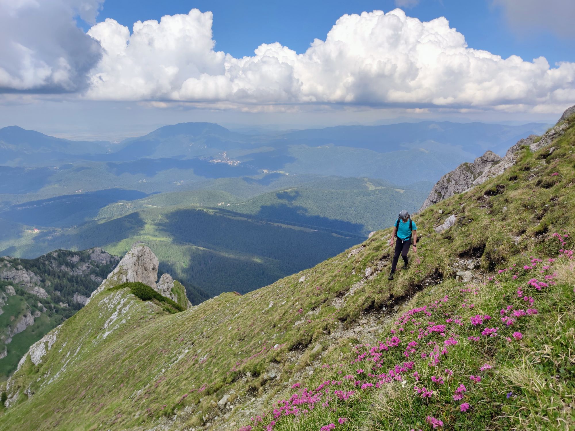 Valea Cerbului - Acele Morarului - Omu - Padina