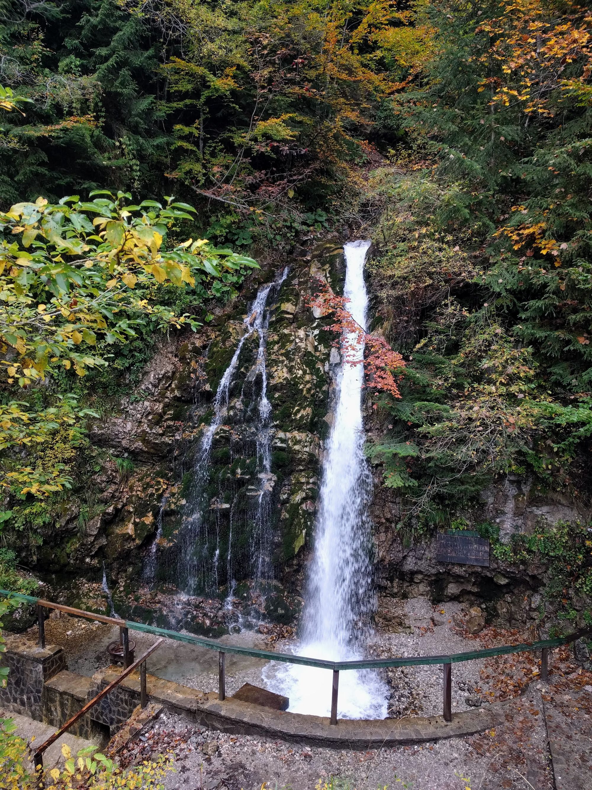 Cascade De Urlatoarea Busteni D'urlatoarea De Cascada Presque En Train De  Hurler Dans Les Montagnes De Roumanie Au Bucegi Sinaia. Photo stock - Image  du forêt, hausse: 193817524