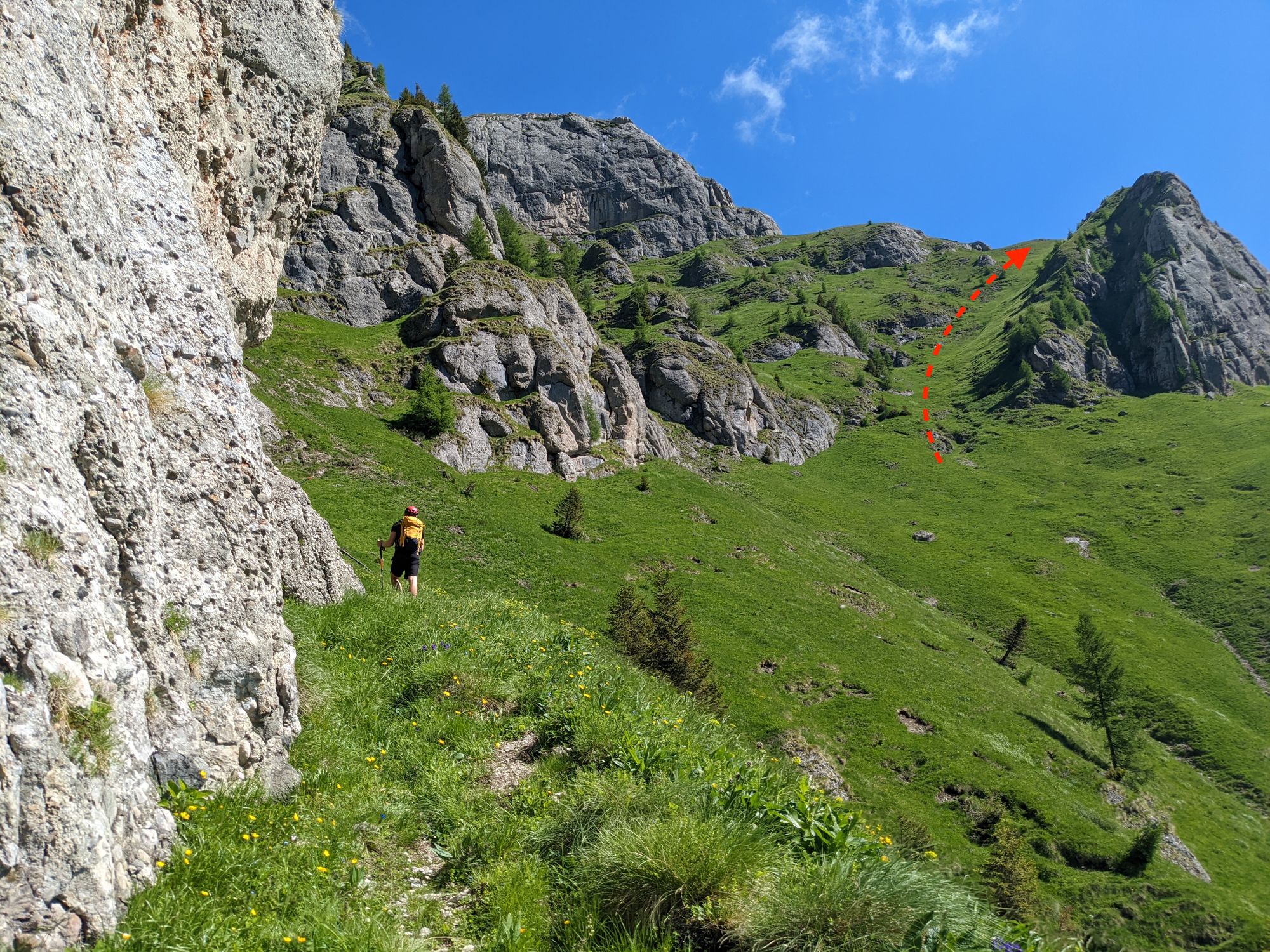 Valea Cerbului - Acele Morarului - Omu - Padina