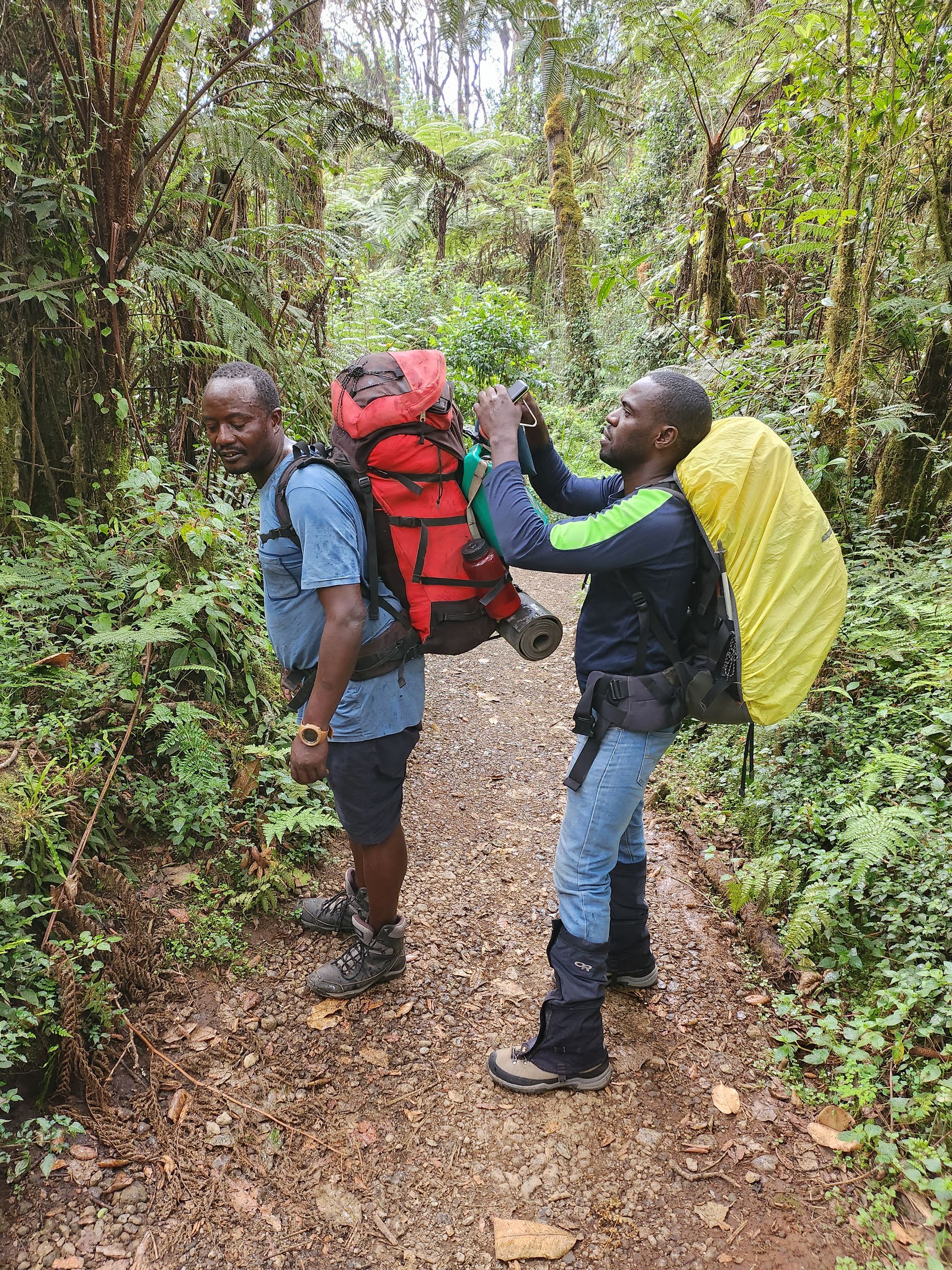 Plimbare pe Kilimanjaro. Vârful Uhuru (5895 m) - cel mai înalt din Tanzania