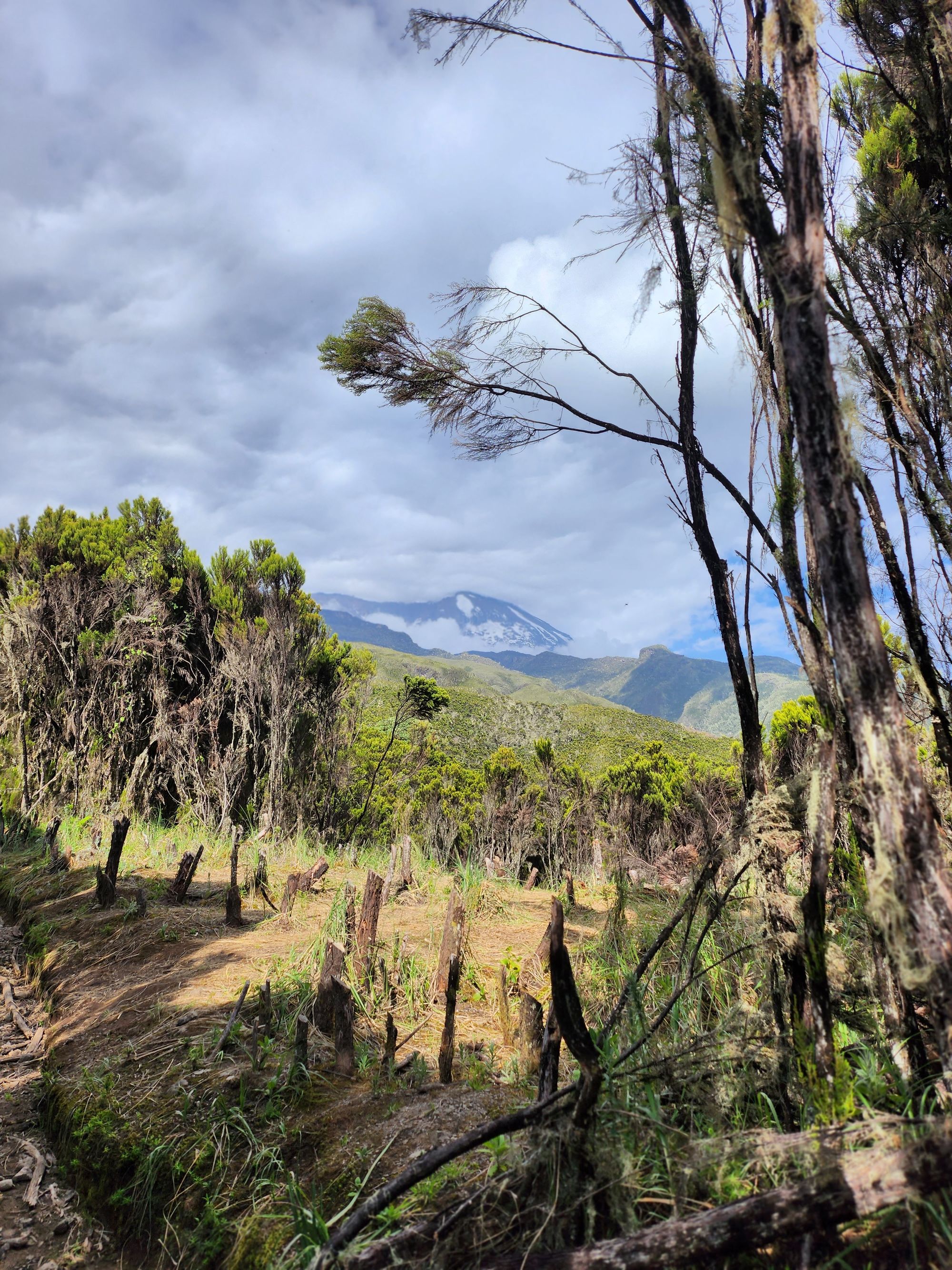 Plimbare pe Kilimanjaro. Vârful Uhuru (5895 m) - cel mai înalt din Tanzania