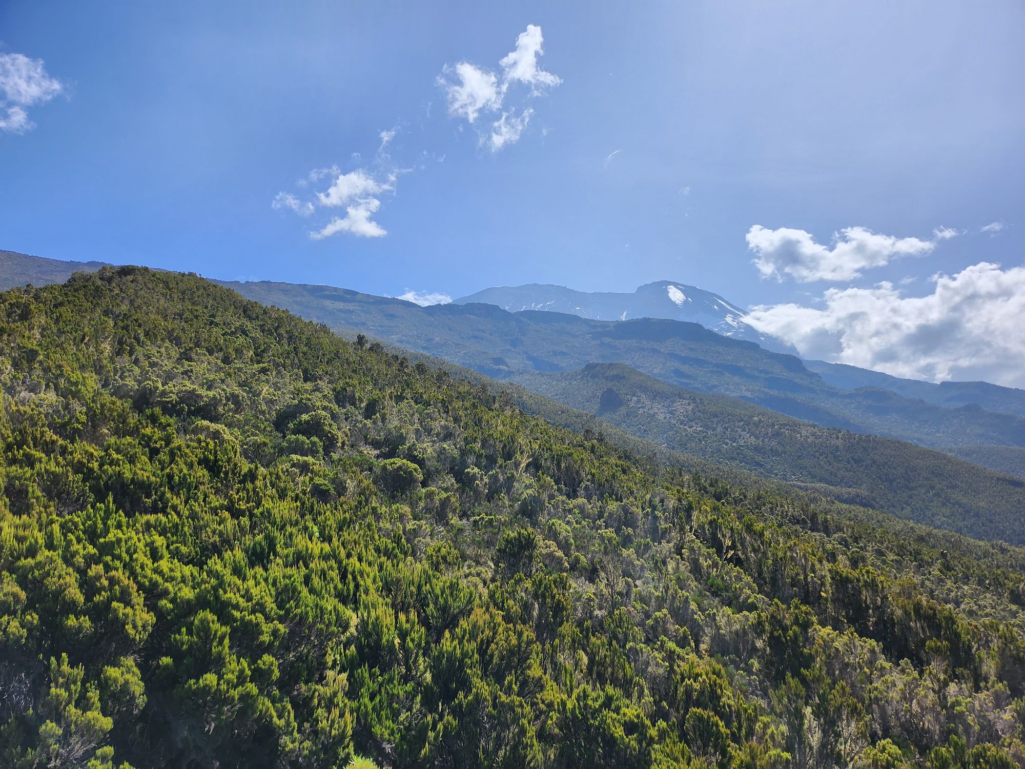 Plimbare pe Kilimanjaro. Vârful Uhuru (5895 m) - cel mai înalt din Tanzania