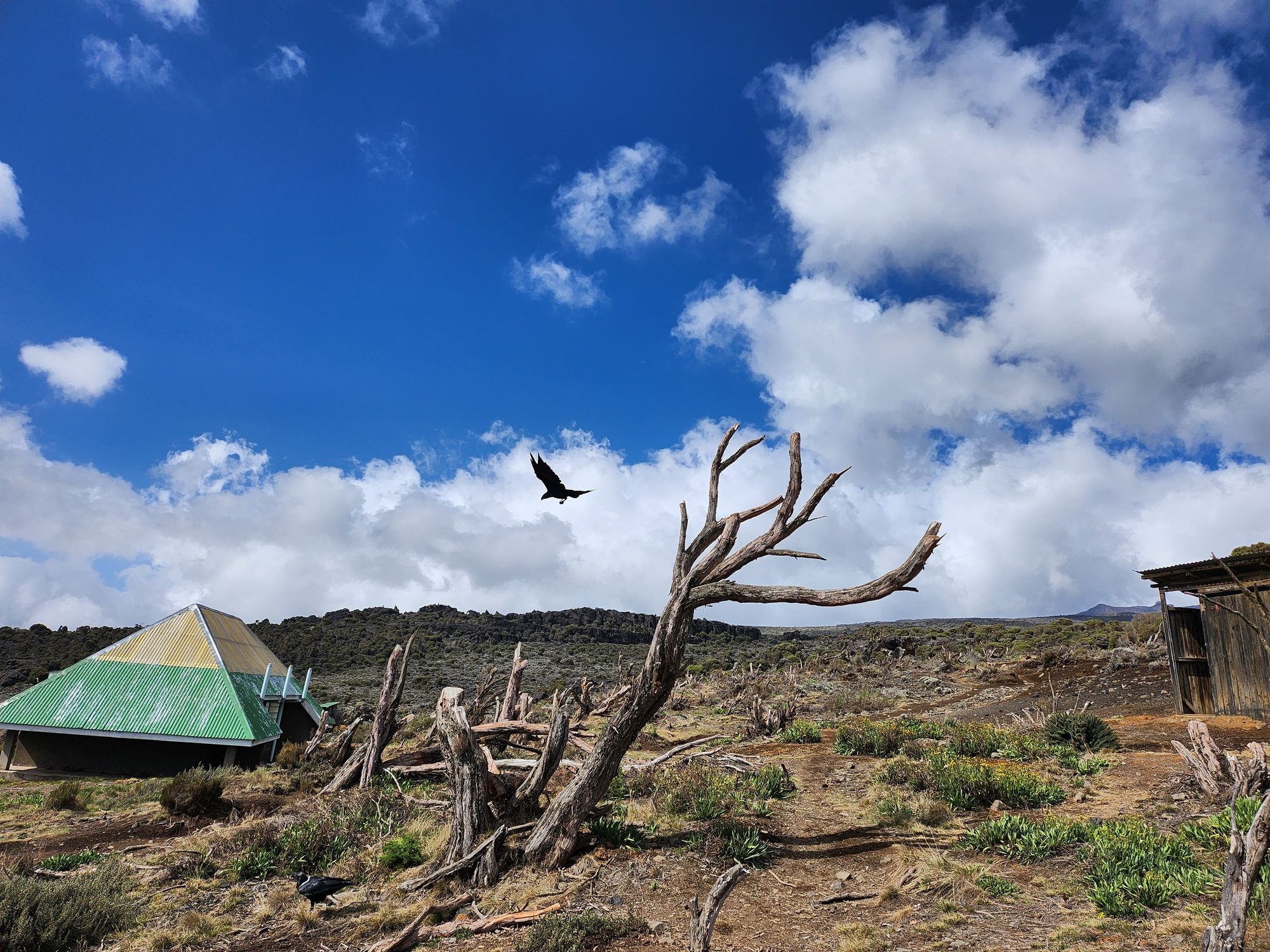 Plimbare pe Kilimanjaro. Vârful Uhuru (5895 m) - cel mai înalt din Tanzania