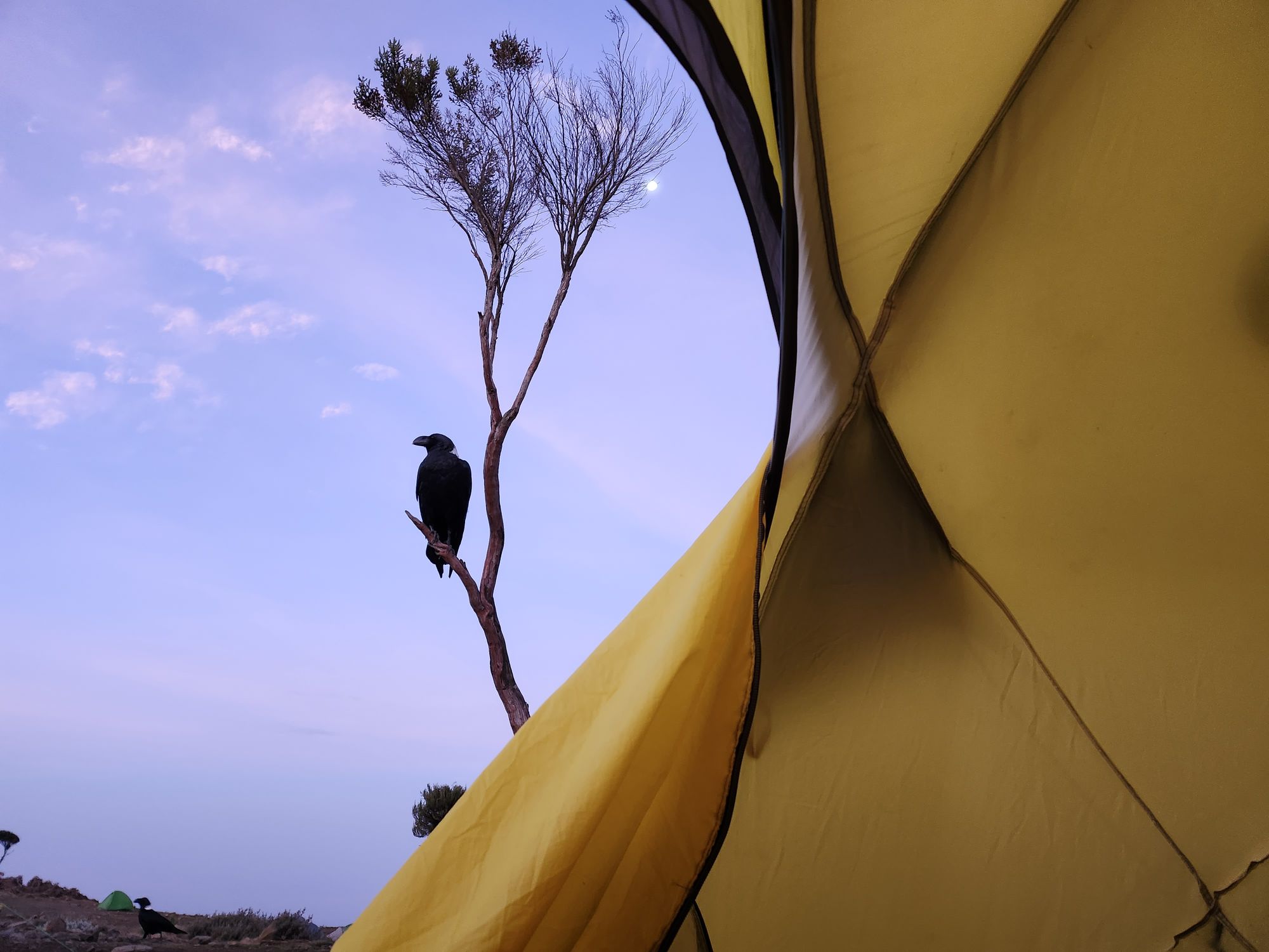 Plimbare pe Kilimanjaro. Vârful Uhuru (5895 m) - cel mai înalt din Tanzania