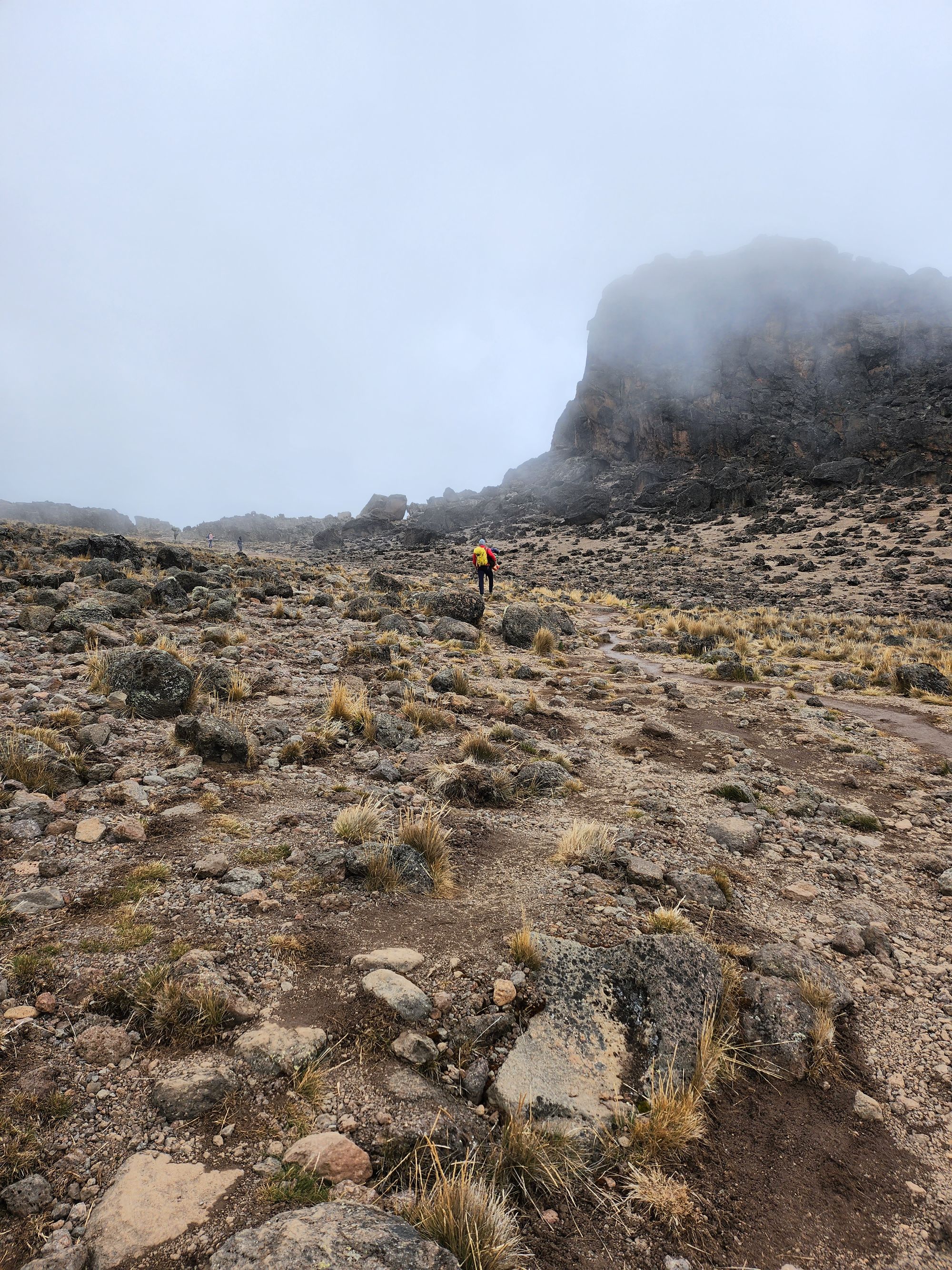 Plimbare pe Kilimanjaro. Vârful Uhuru (5895 m) - cel mai înalt din Tanzania