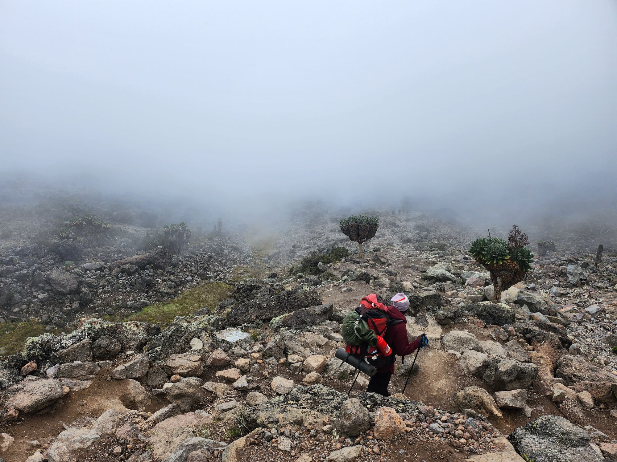 Plimbare pe Kilimanjaro. Vârful Uhuru (5895 m) - cel mai înalt din Tanzania