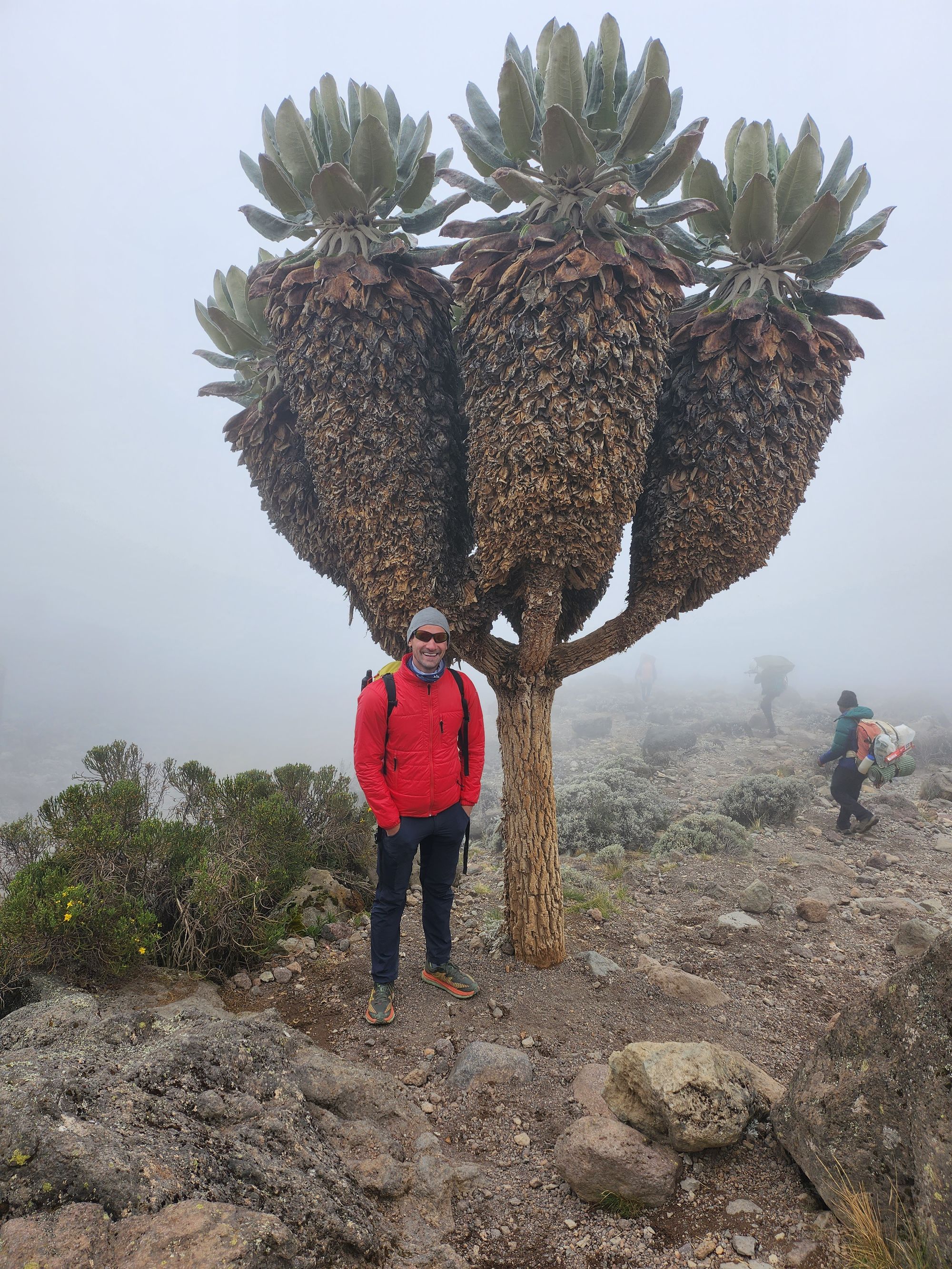 Plimbare pe Kilimanjaro. Vârful Uhuru (5895 m) - cel mai înalt din Tanzania