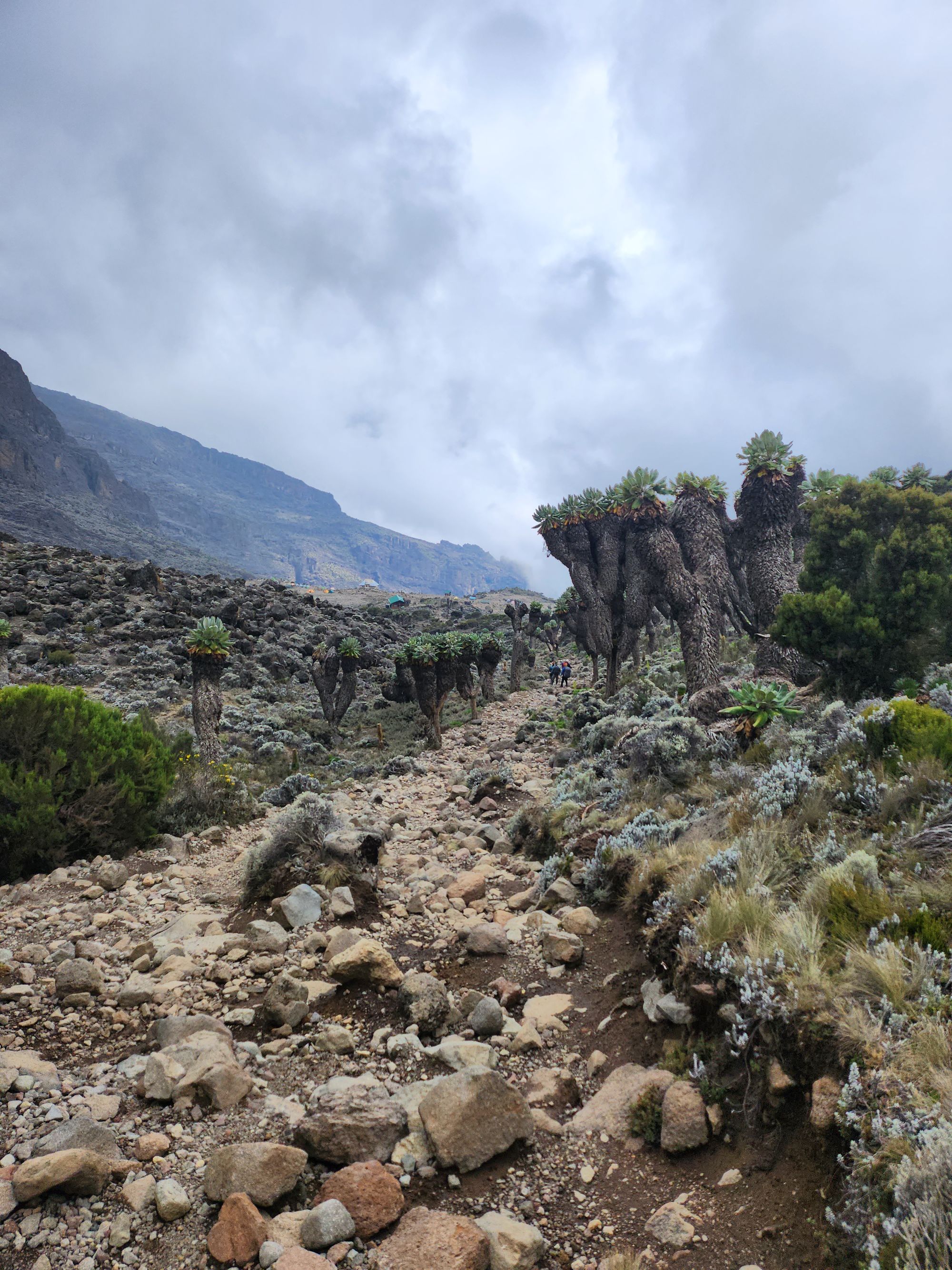 Plimbare pe Kilimanjaro. Vârful Uhuru (5895 m) - cel mai înalt din Tanzania