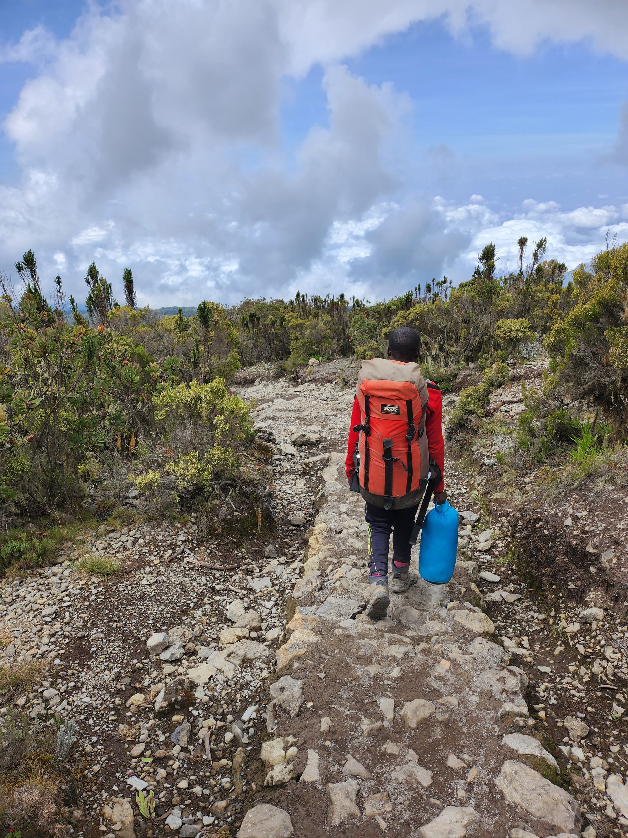 Plimbare pe Kilimanjaro. Vârful Uhuru (5895 m) - cel mai înalt din Tanzania