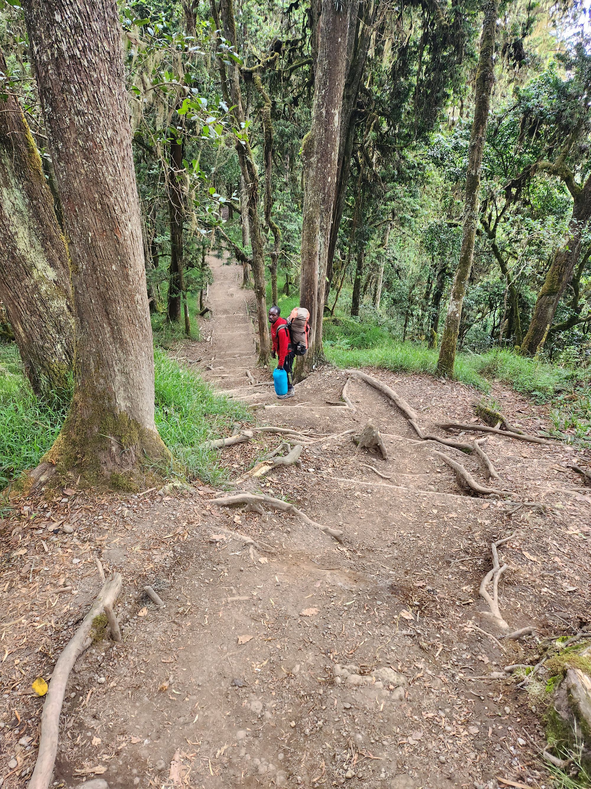 Plimbare pe Kilimanjaro. Vârful Uhuru (5895 m) - cel mai înalt din Tanzania