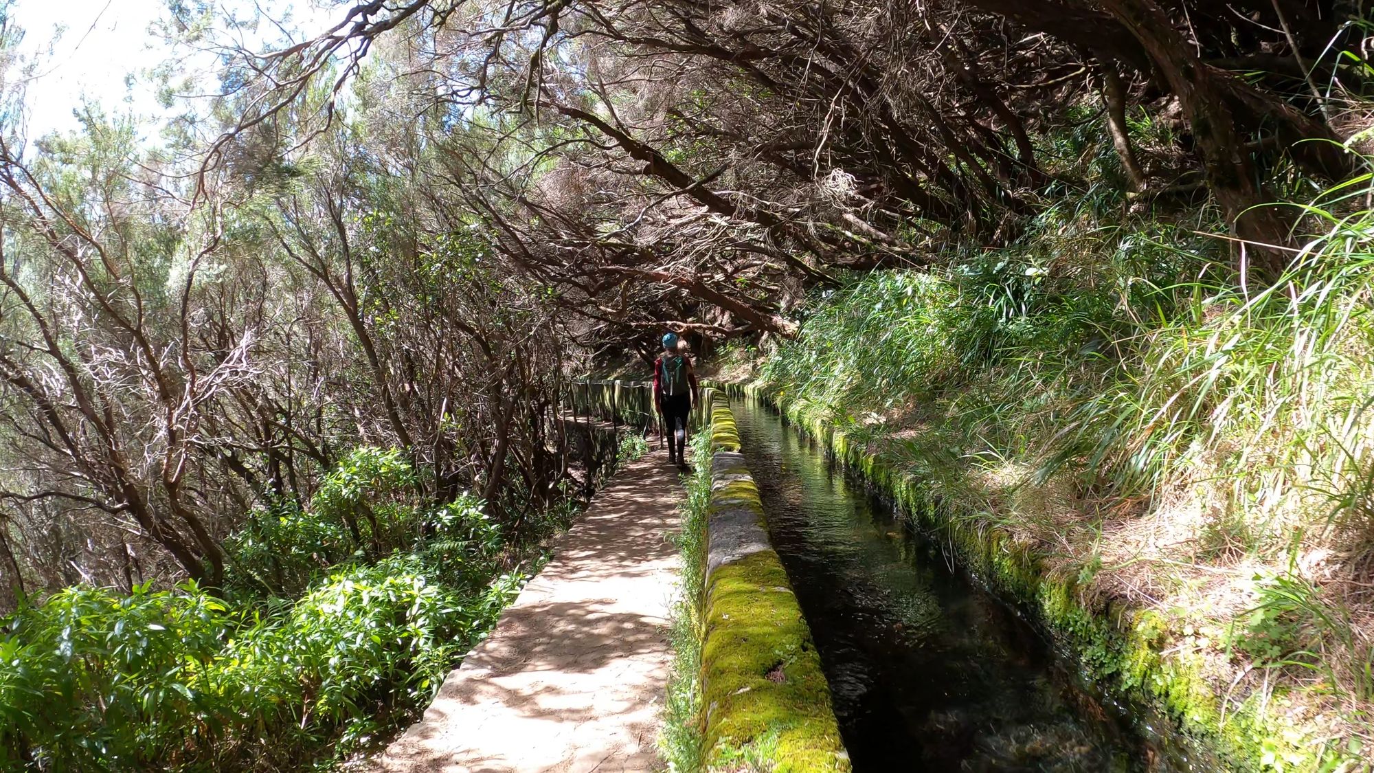 Madeira - 9 zile de hiking