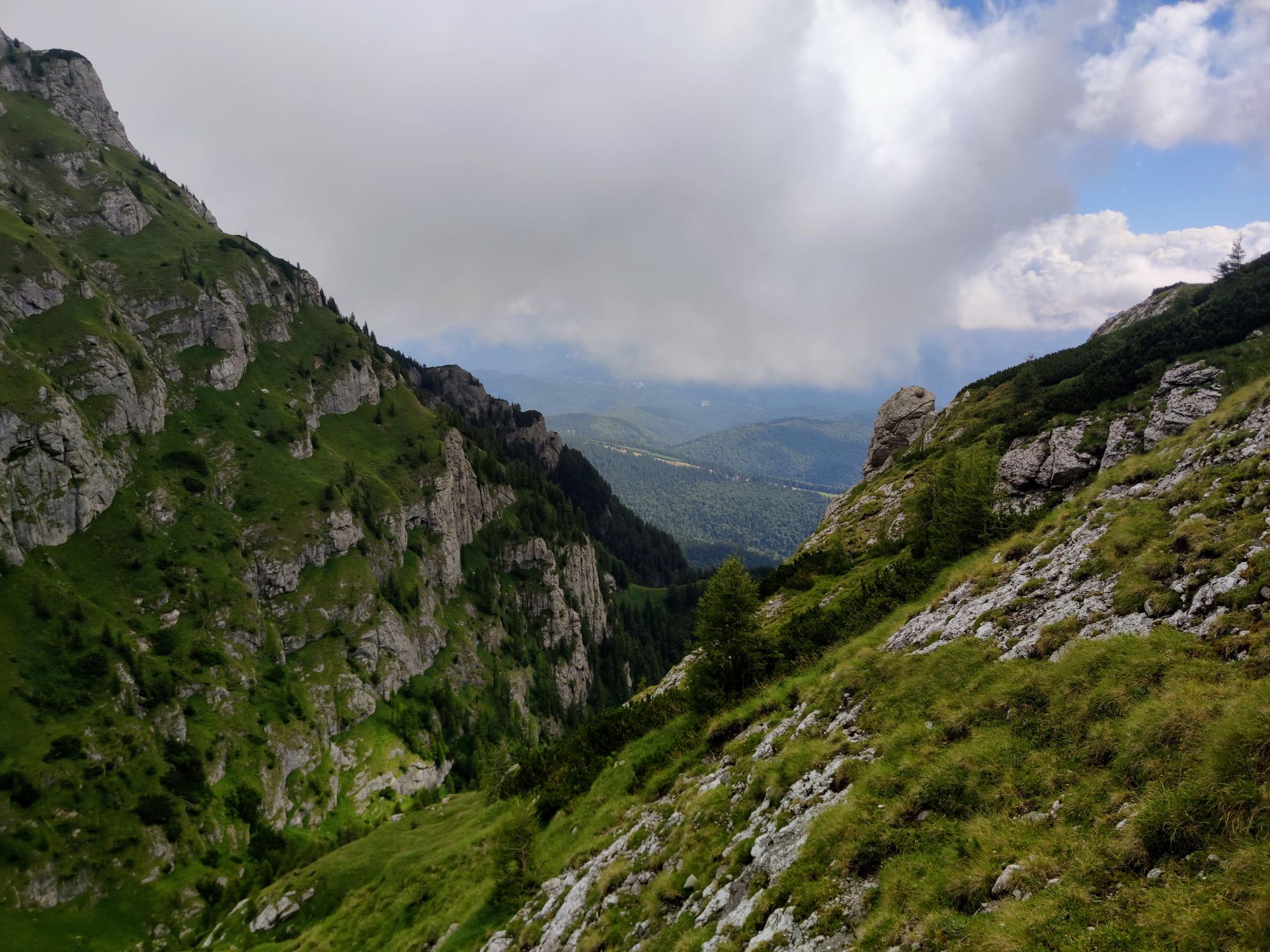 Brâul Acelor și Acele Morarului