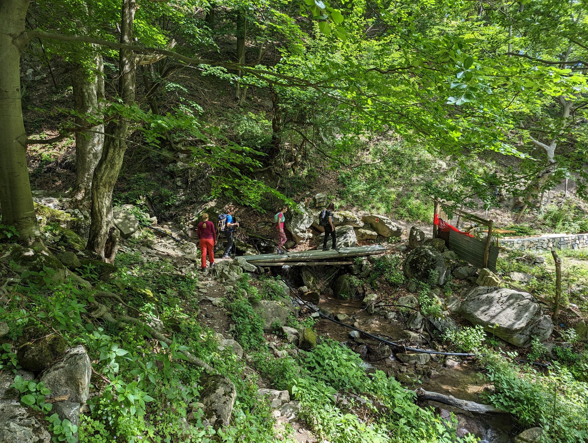 Cascada Vânturătoarea, Munții Cernei