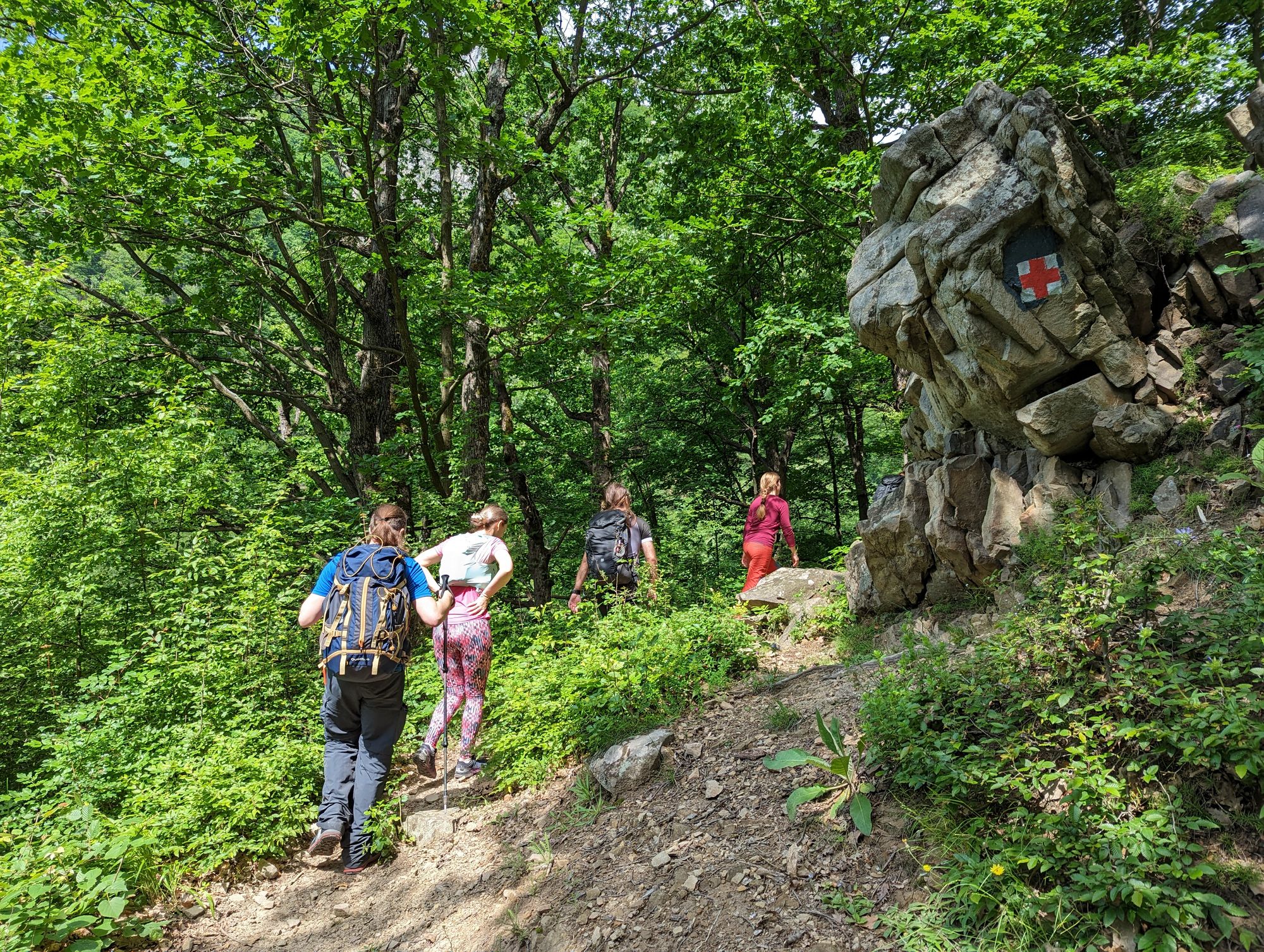 Cascada Vânturătoarea, Munții Cernei