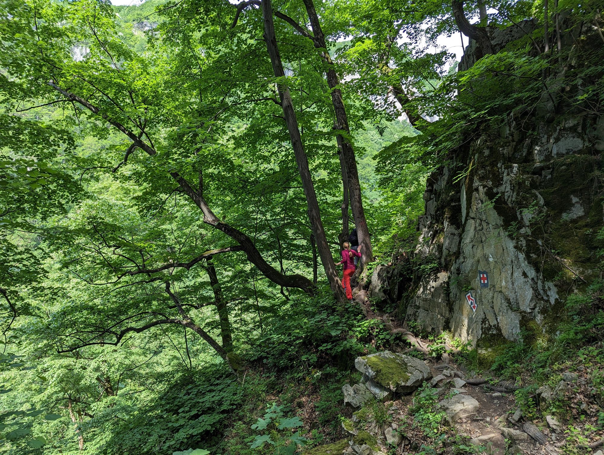 Cascada Vânturătoarea, Munții Cernei