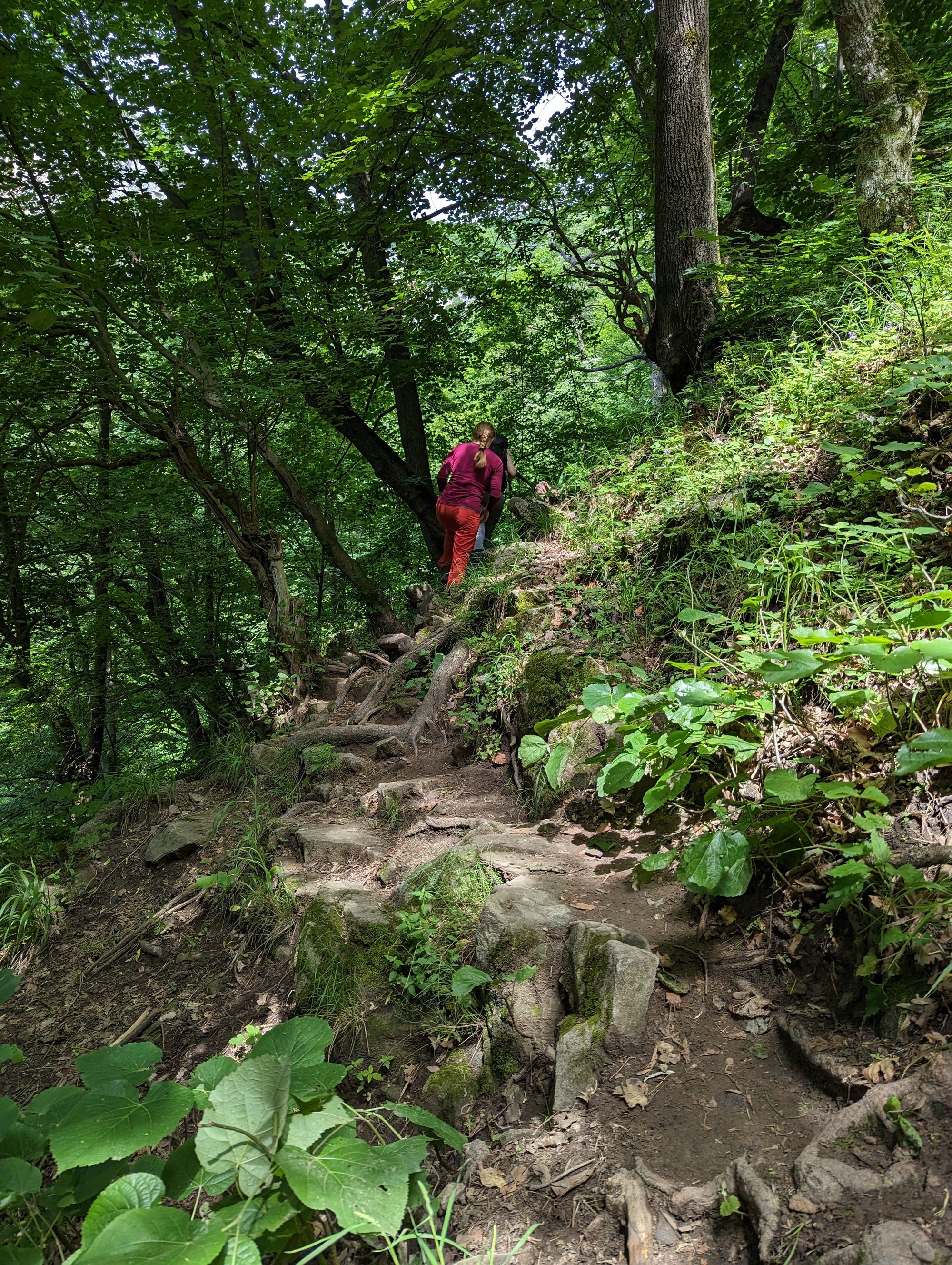 Cascada Vânturătoarea, Munții Cernei