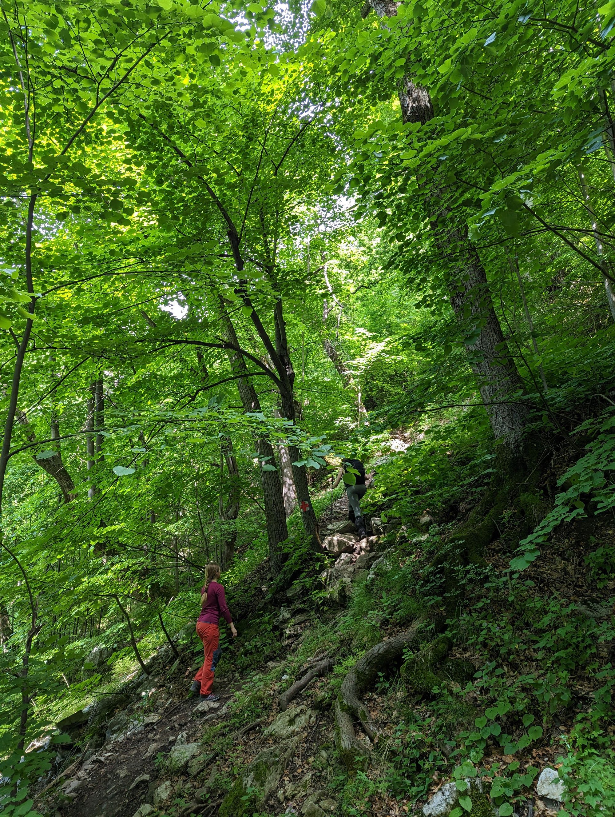 Cascada Vânturătoarea, Munții Cernei