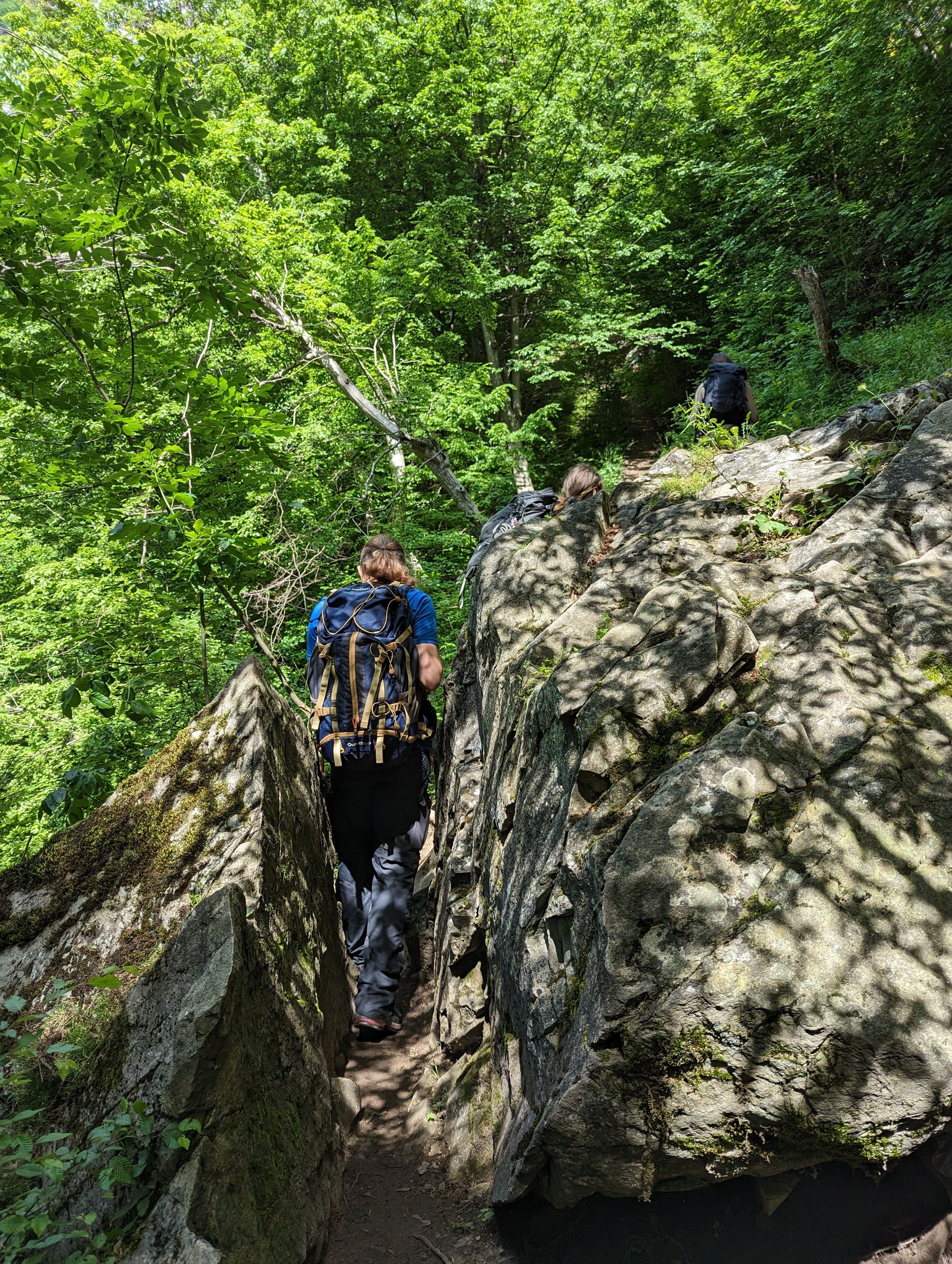 Cascada Vânturătoarea, Munții Cernei