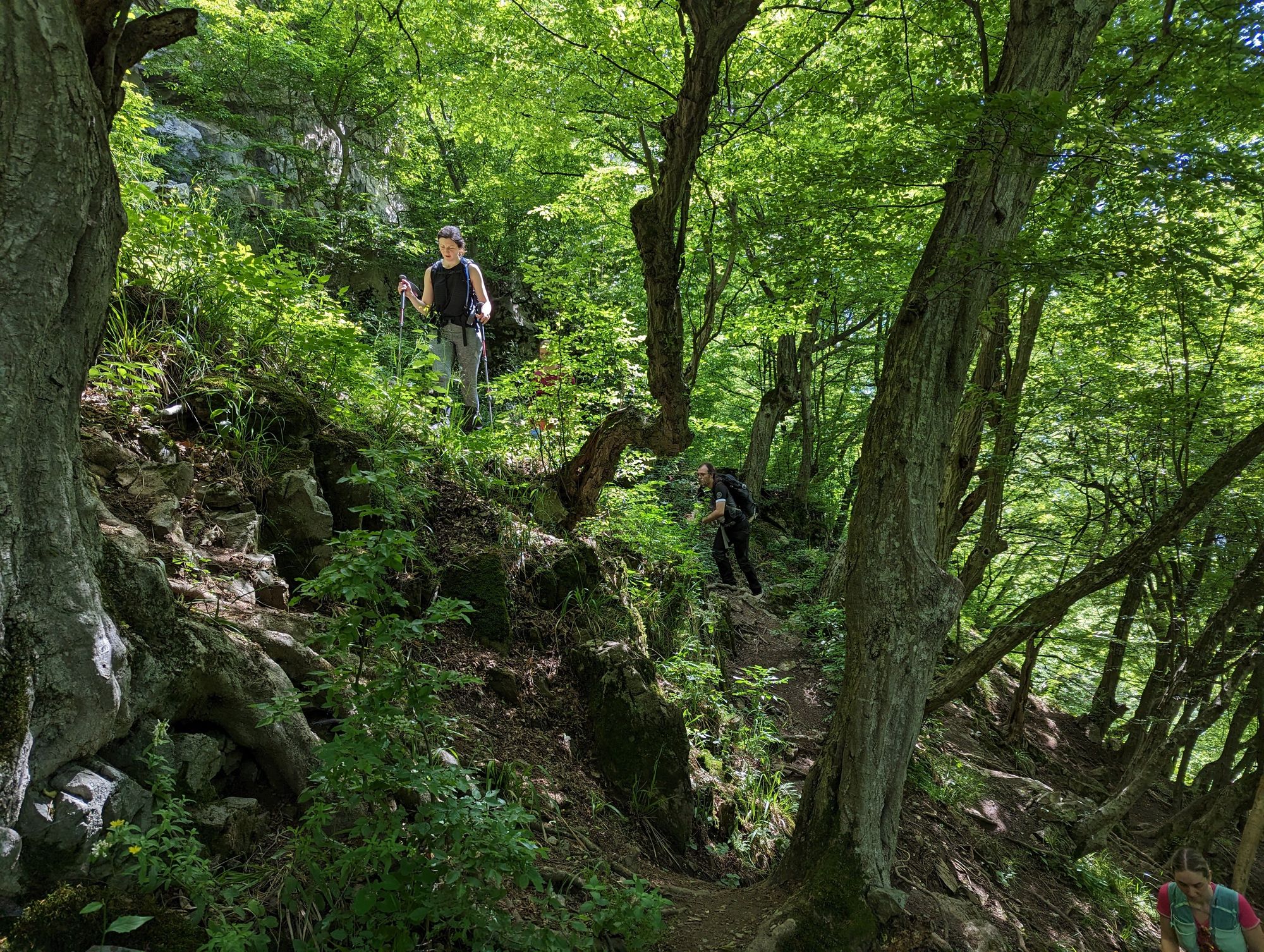 Cascada Vânturătoarea, Munții Cernei