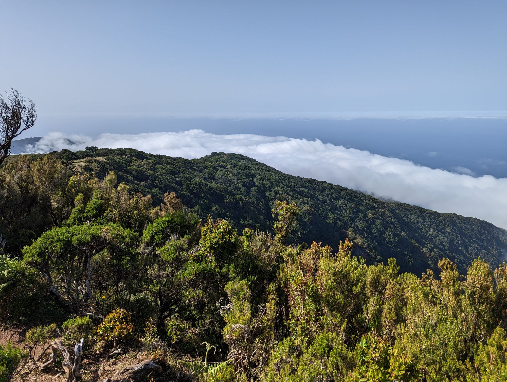 Madeira - 9 zile de hiking