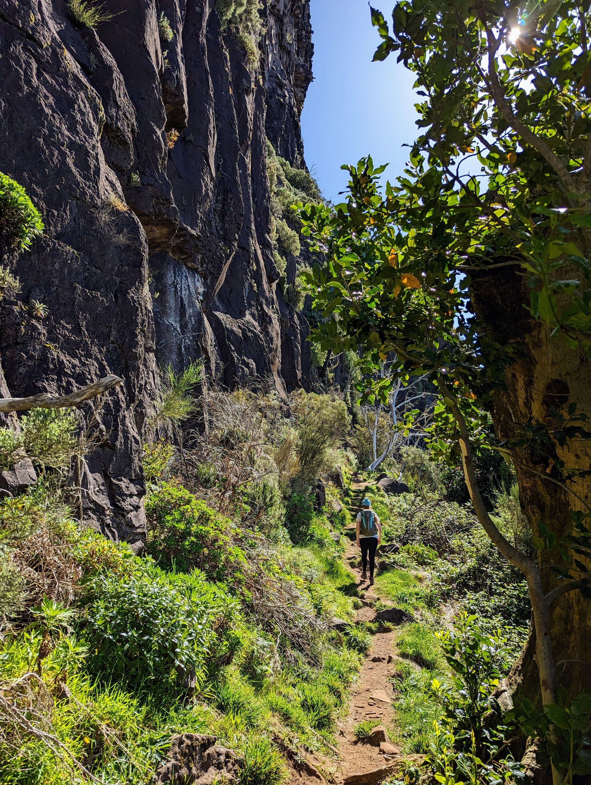 Madeira - 9 zile de hiking