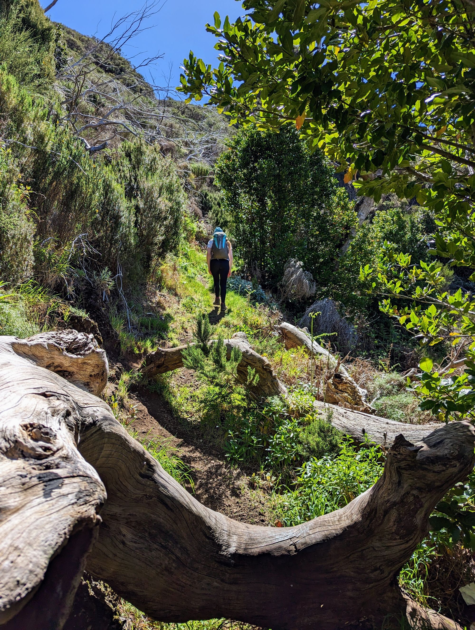 Madeira - 9 zile de hiking