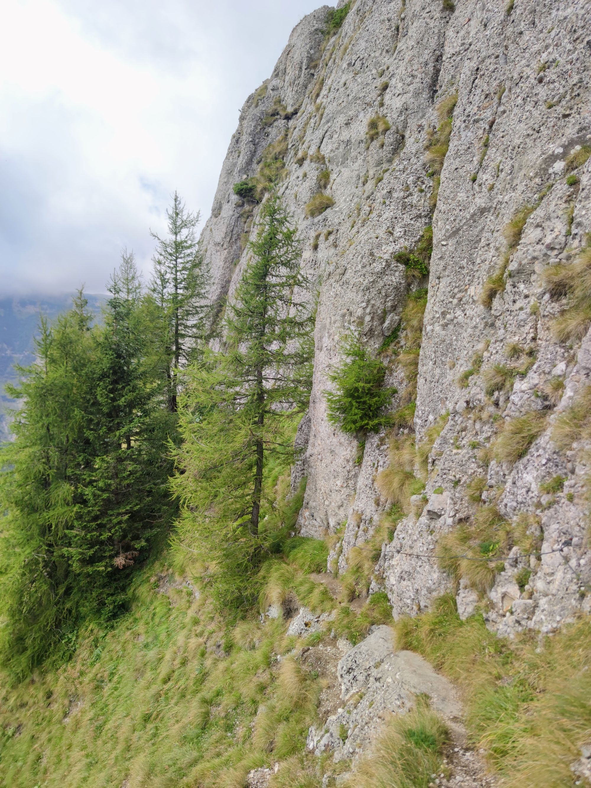 Brâul Portiței - Portița Caraimanului - Tunelul Picăturii - Creasta Picăturii