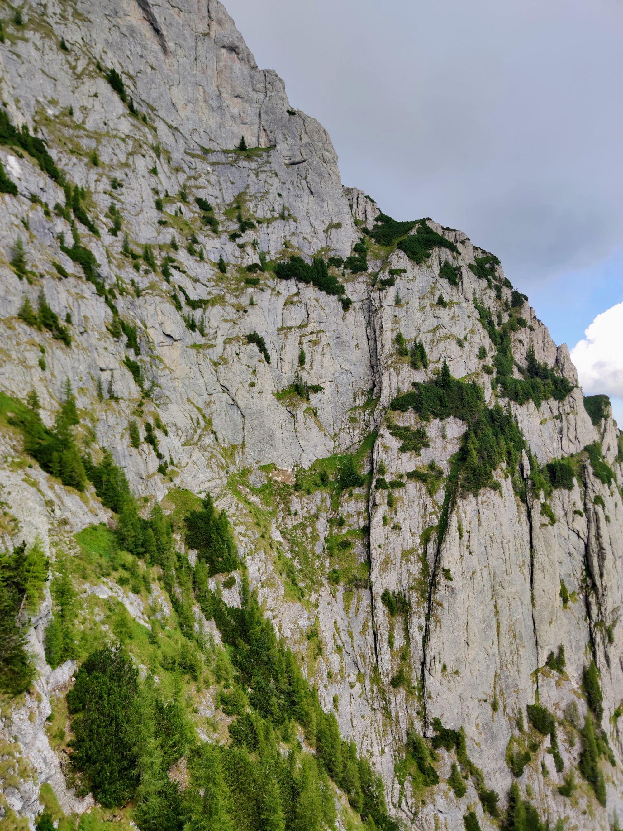 Brâul Portiței - Portița Caraimanului - Tunelul Picăturii - Creasta Picăturii