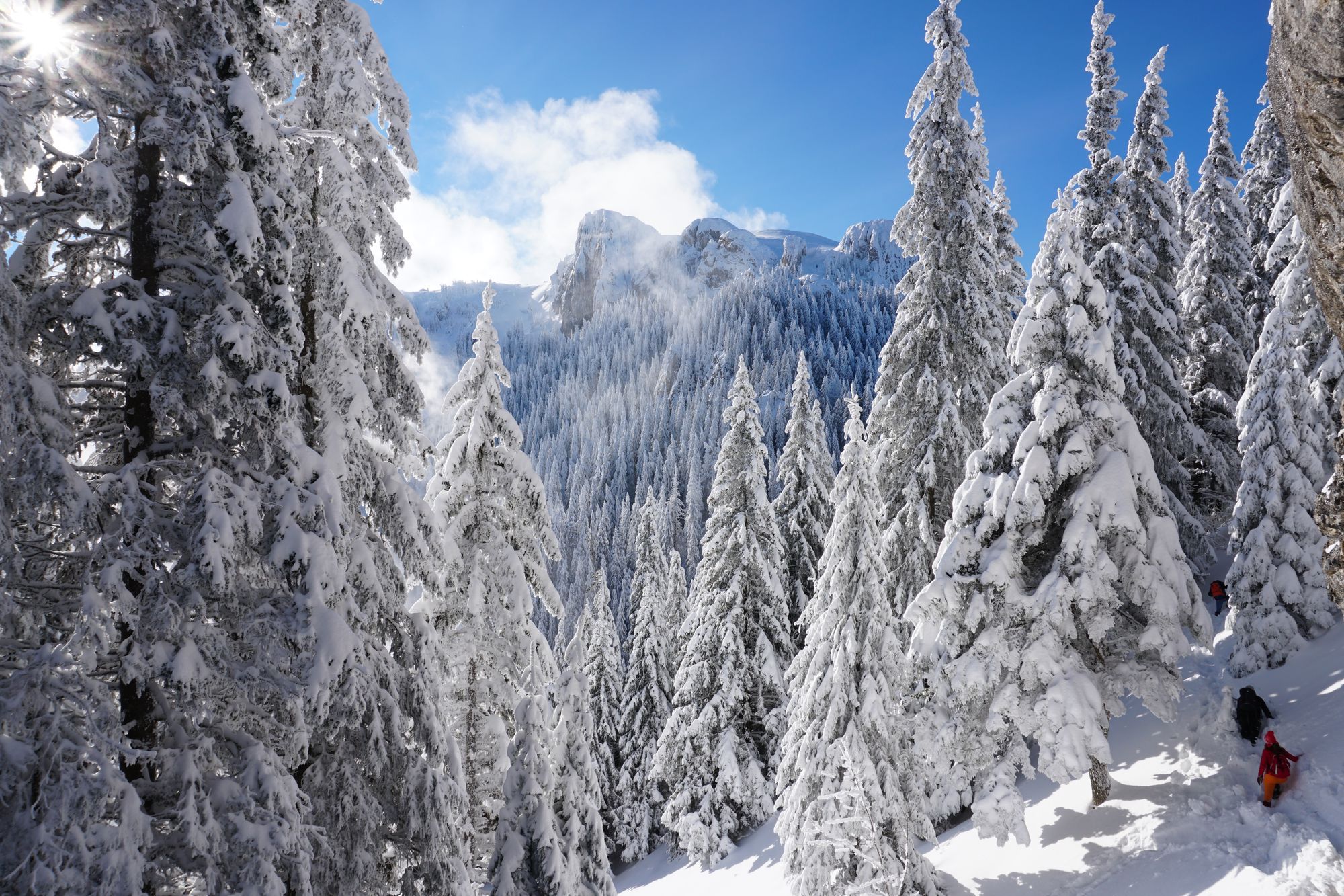 Piatra Mare: Drumul Familiar - Vârful Piatra Mare - Valea Șipoaia