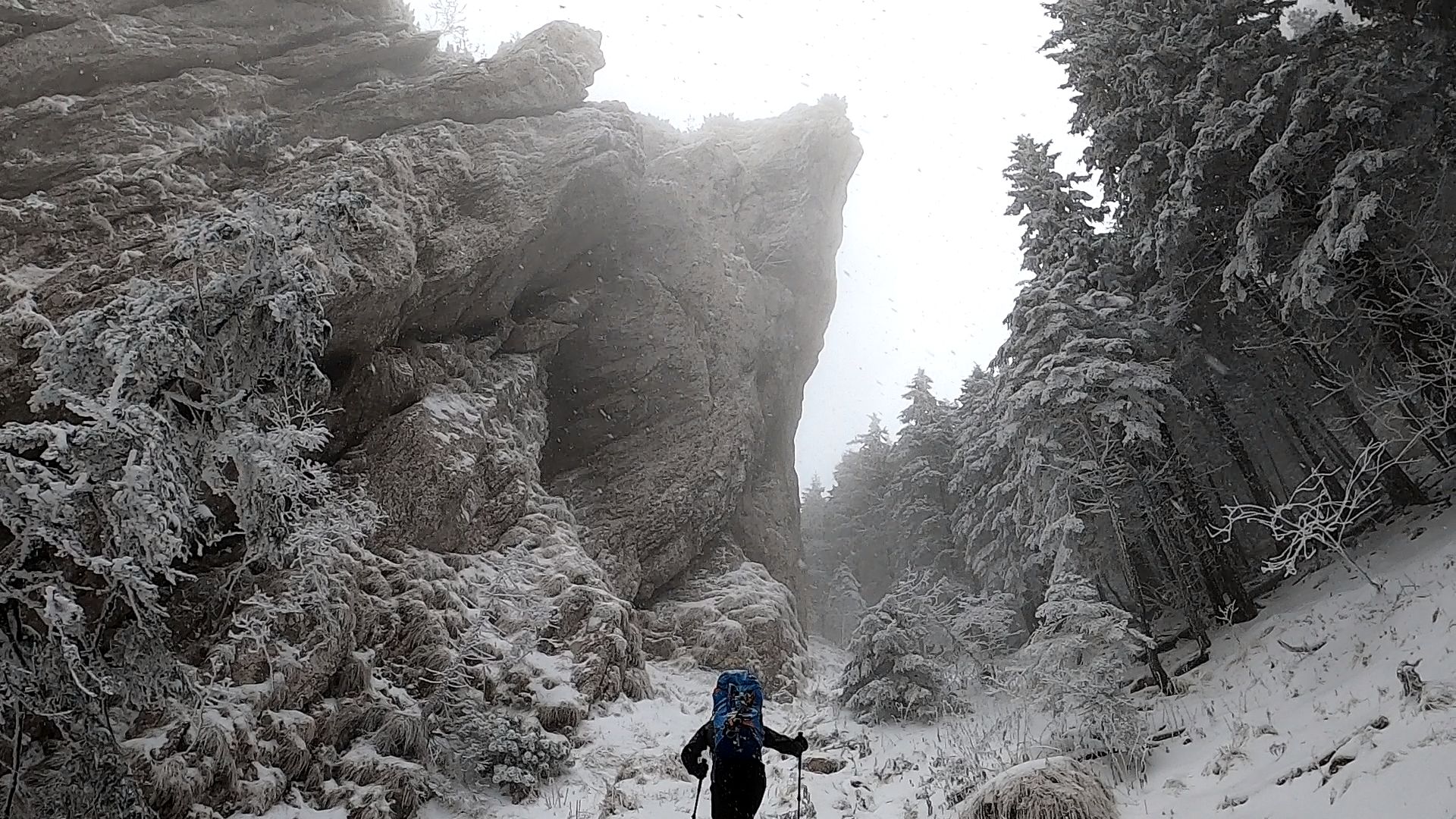 Piatra Craiului iarna: Valea Crăpăturii - Cabana Curmătura