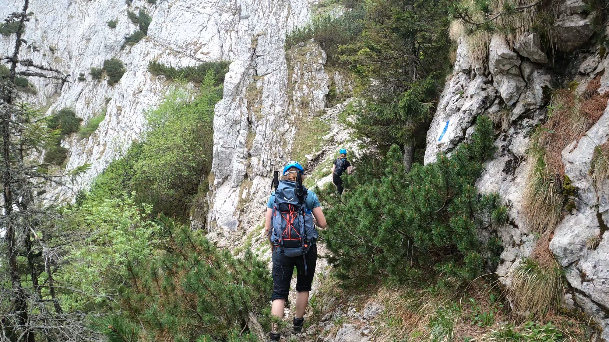 Brâna Caprelor din Piatra Craiului