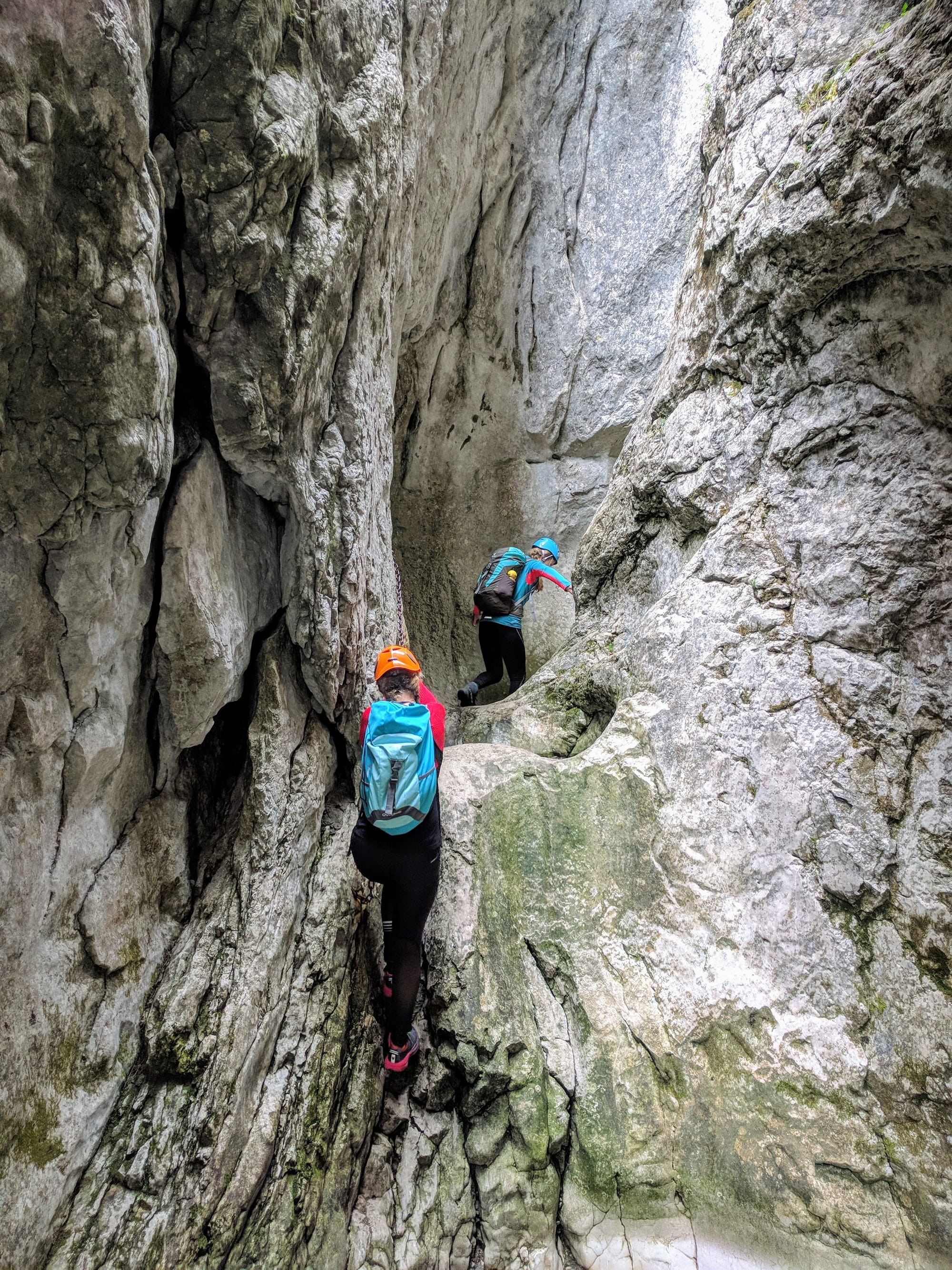 Jepii Mari - Piatra Arsă - Peștera - Valea Horoabei - Vf.Omu - Valea Cerbului. Circuit din Bușteni