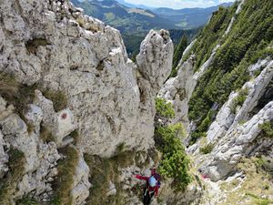 Piatra Craiului