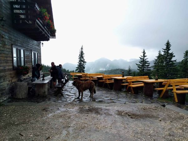 Piatra Craiului: Traseu Fântâna lui Botorog - Cabana Curmătura