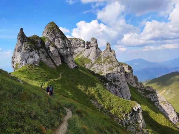 Bucegi: Vârful Omu - Vârful Scara - Turnurile Țigănești - Culmea Clincea - Bran