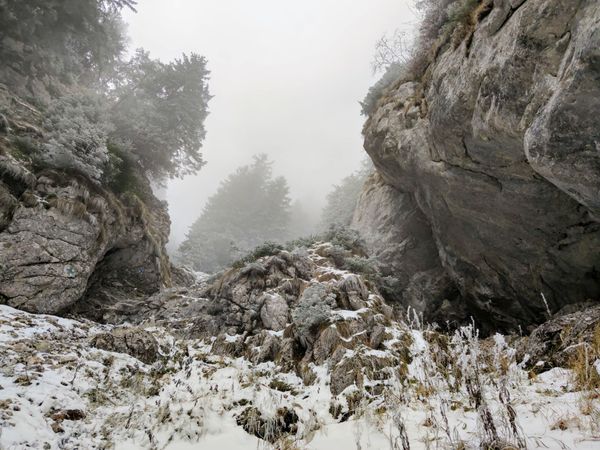 Piatra Craiului: Padina Hotarului - Vârful Turnu - Valea Crăpăturii