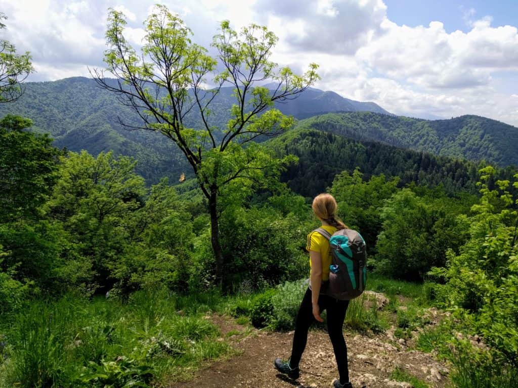 Vedere de pe Tâmpa spre Vârful Postăvaru